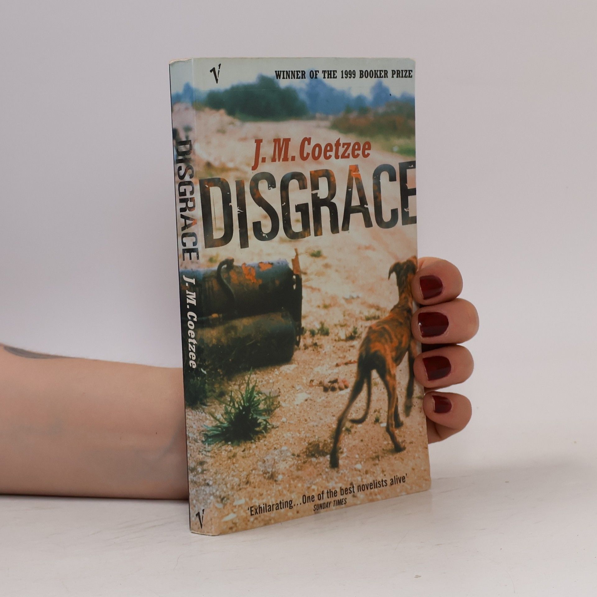 John Maxwell Coetzee Disgrace