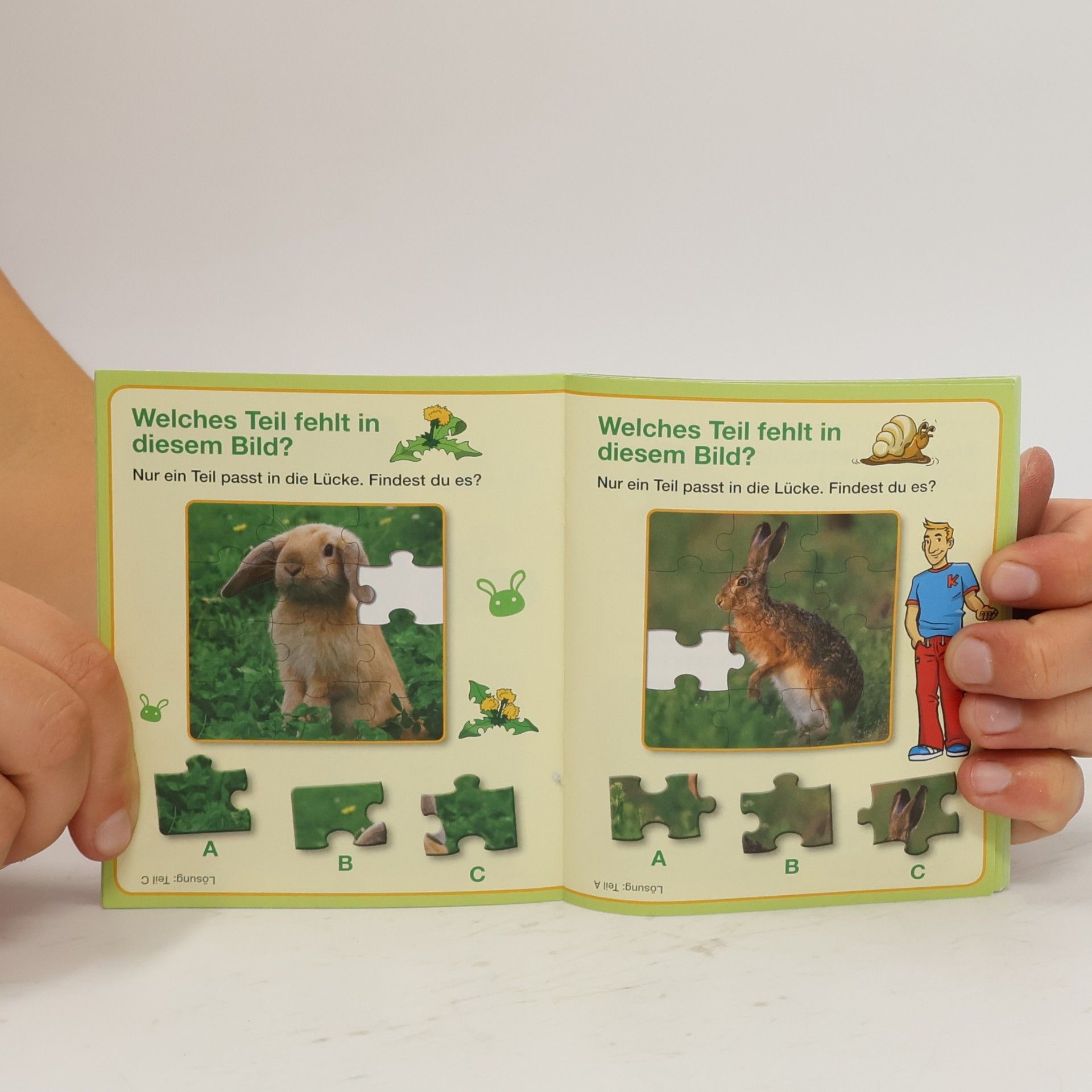 Autorenkollektiv Meine kleine Hundewelt