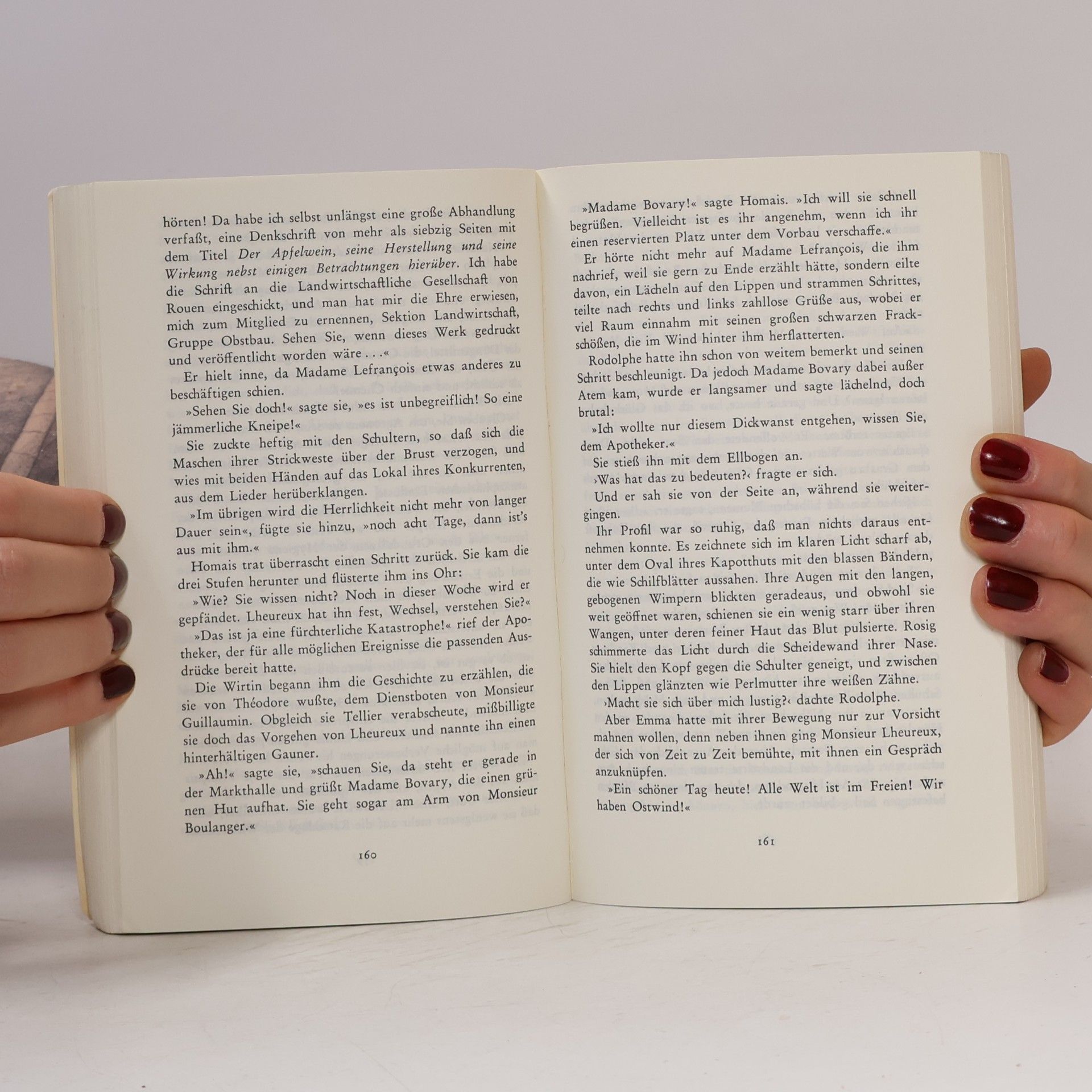 Gustave Flaubert Madame Bovary