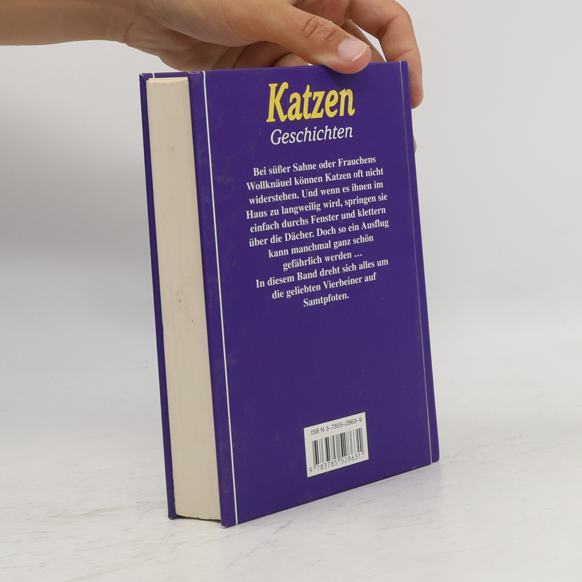 Katzengeschichten