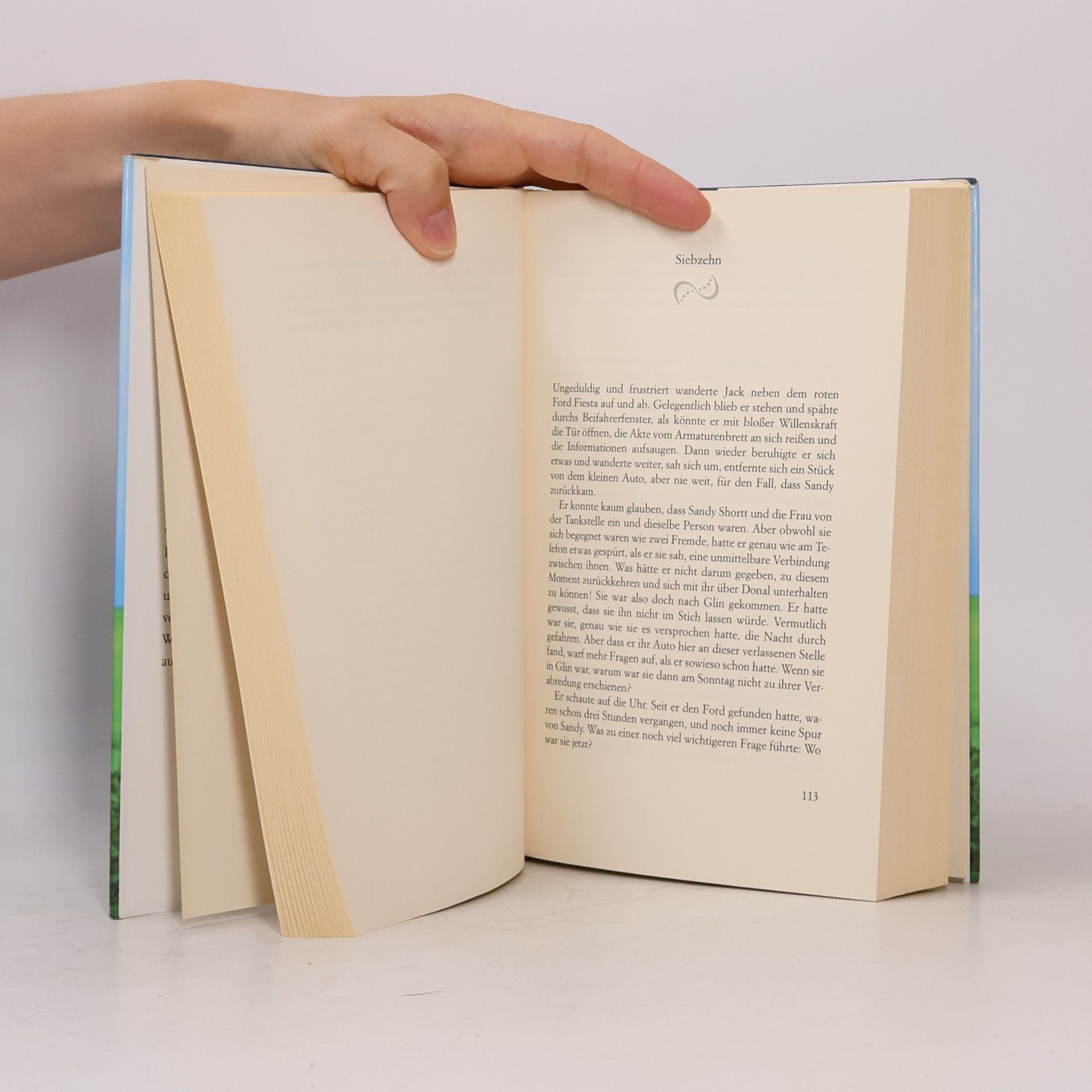 Cecelia Ahern Vermiss mein nicht