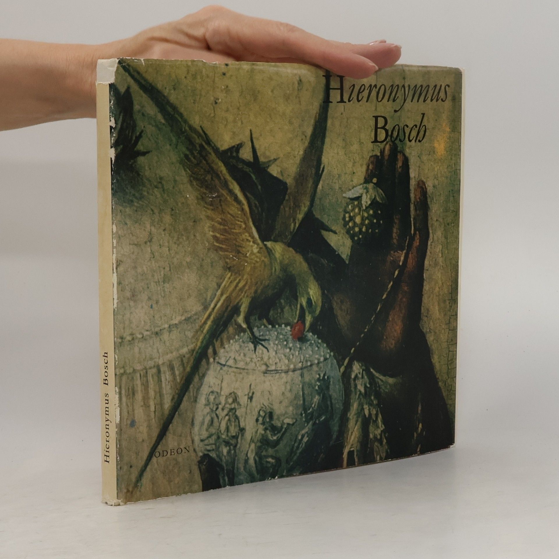 Hana Volavková Hieronymus Bosch