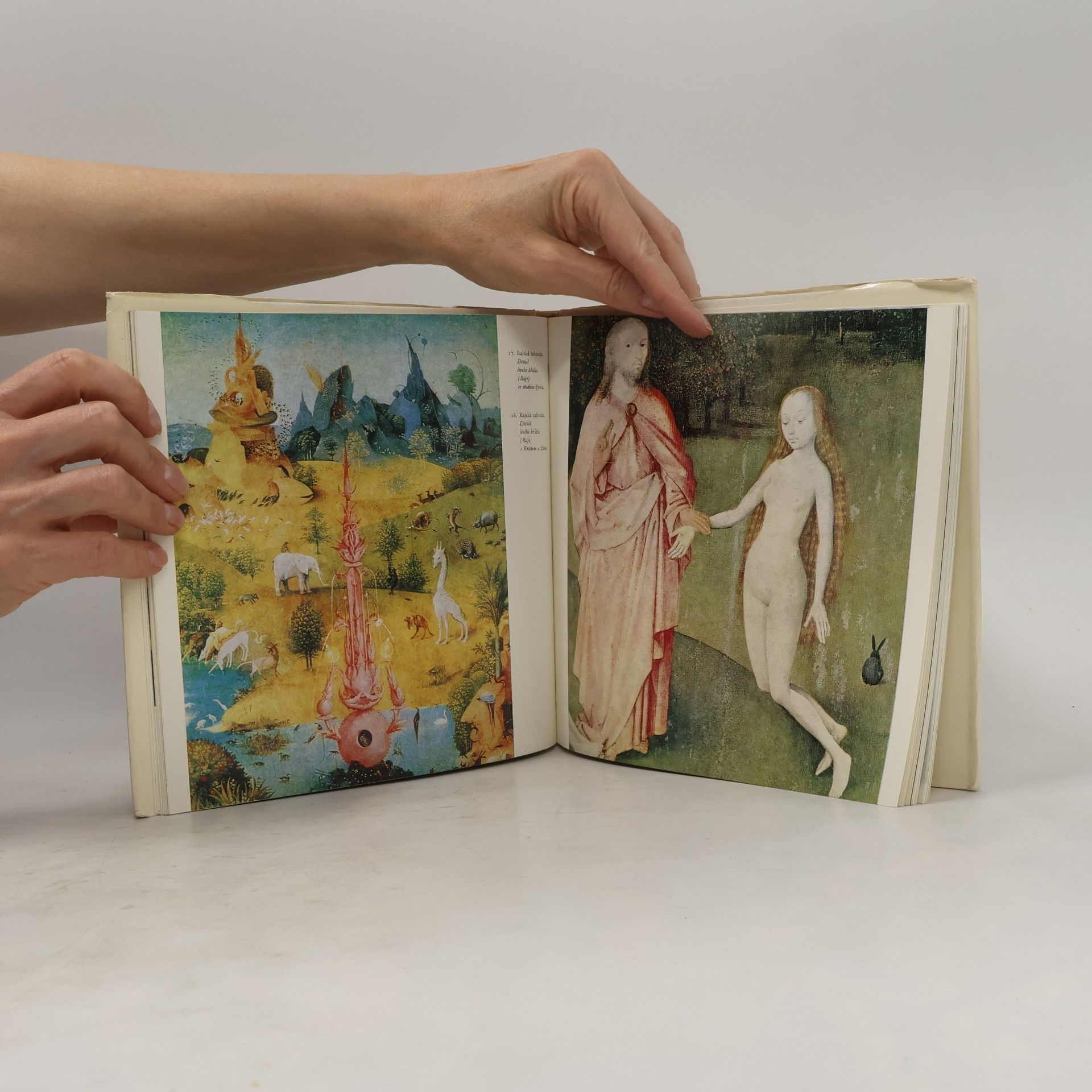 Hana Volavková Hieronymus Bosch