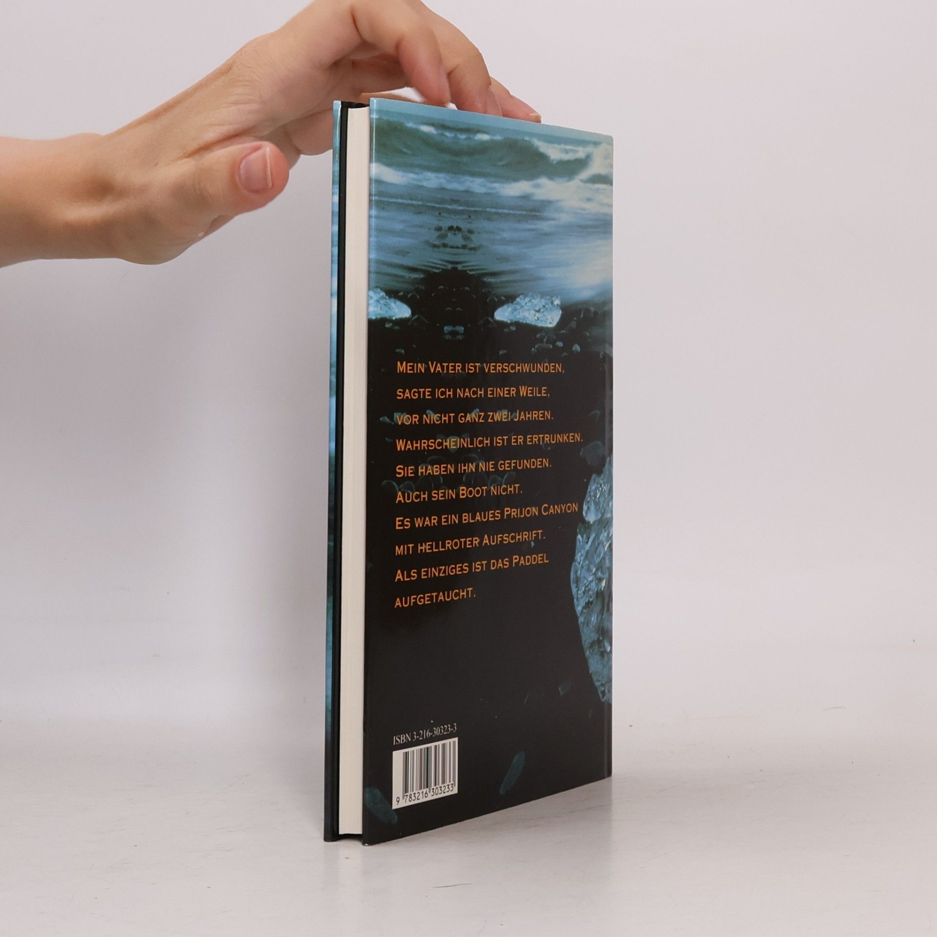 Paulus Hochgatterer Wildwasser
