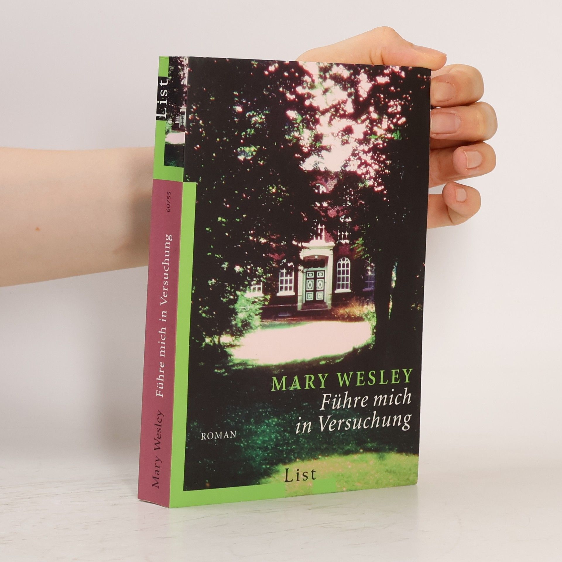 Mary Wesley Führe mich in Versuchung