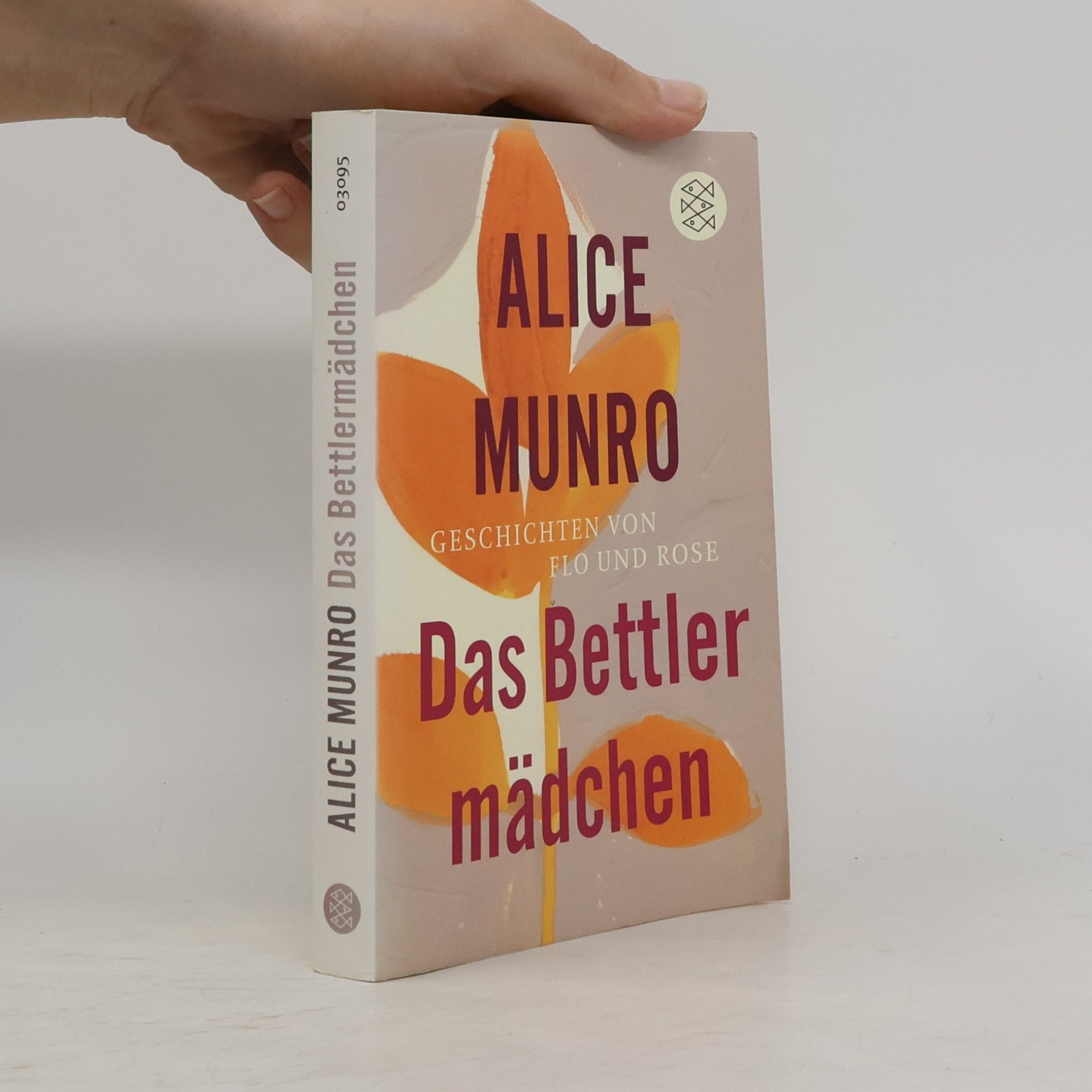 Alice Munro Das Bettlermädchen