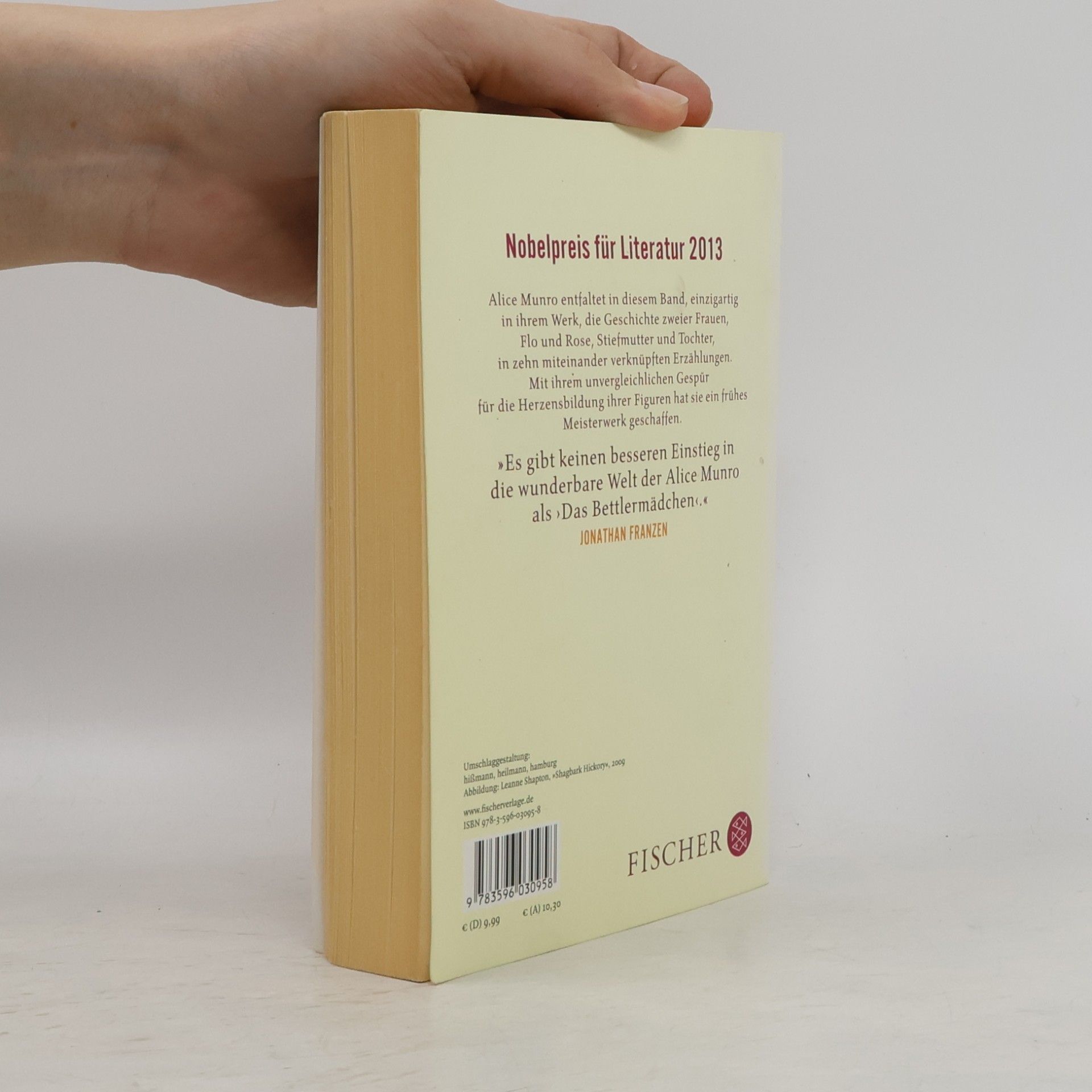 Alice Munro Das Bettlermädchen