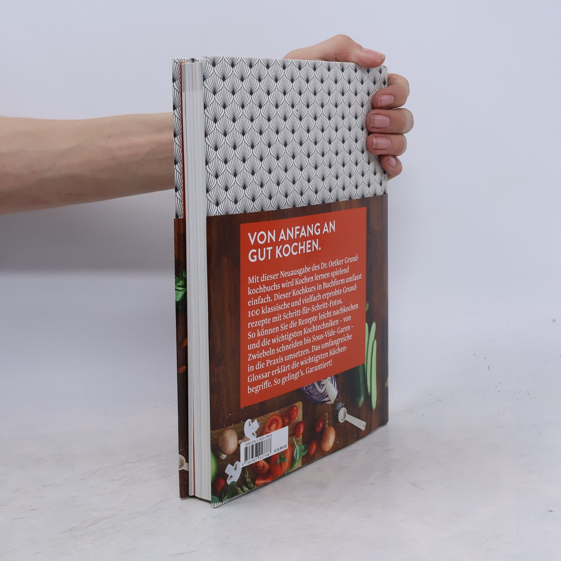 Klaus Schäfer Grundkochbuch
