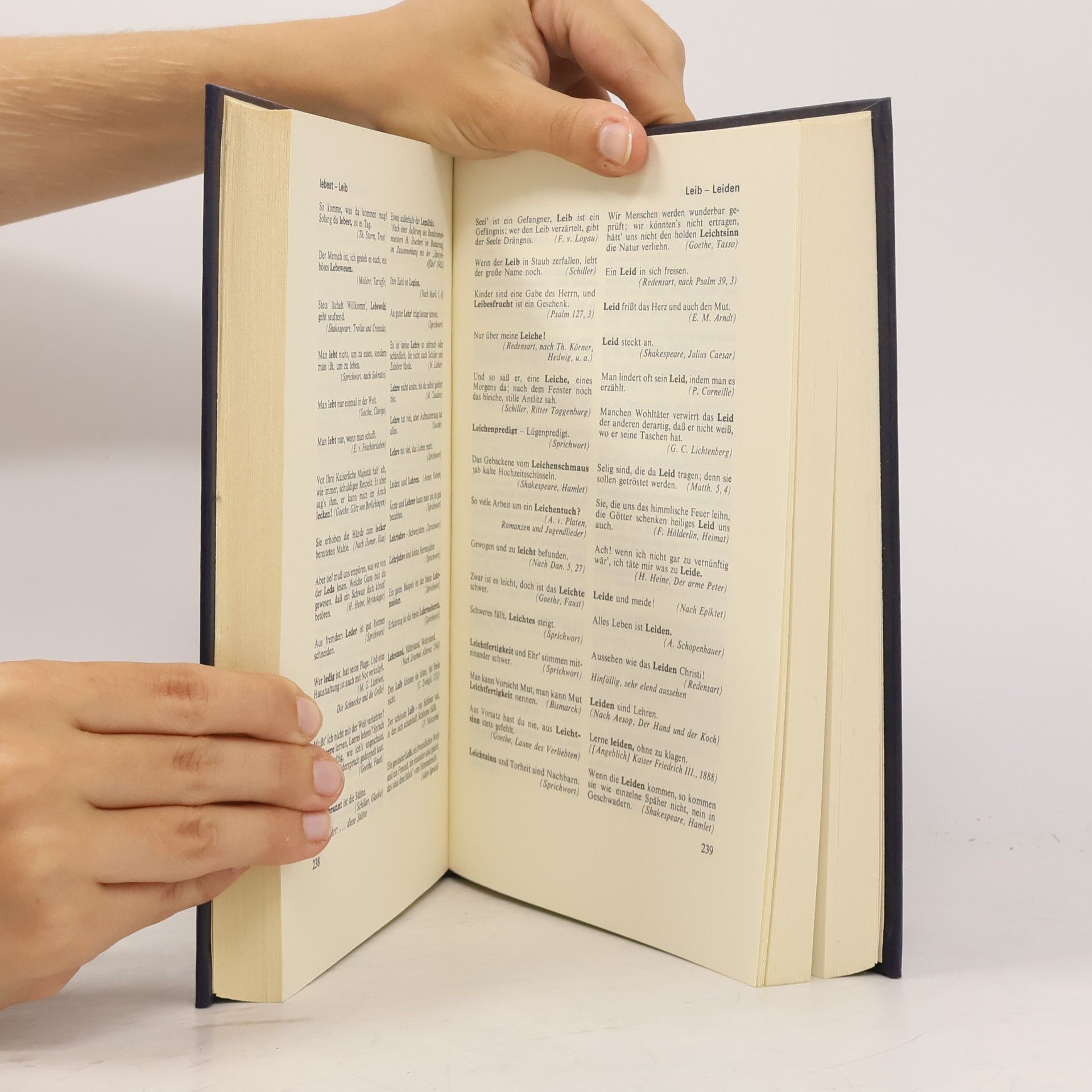 Gerhard Hellwig Das Buch der Zitate