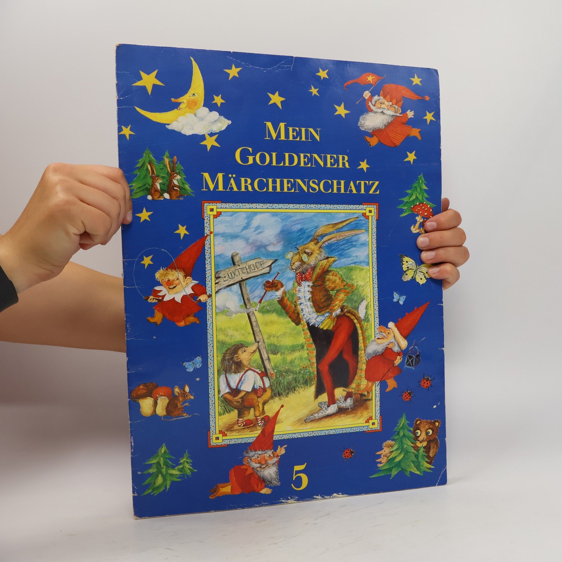 Autorenkollektiv Mein Goldener Märchenschatz 5