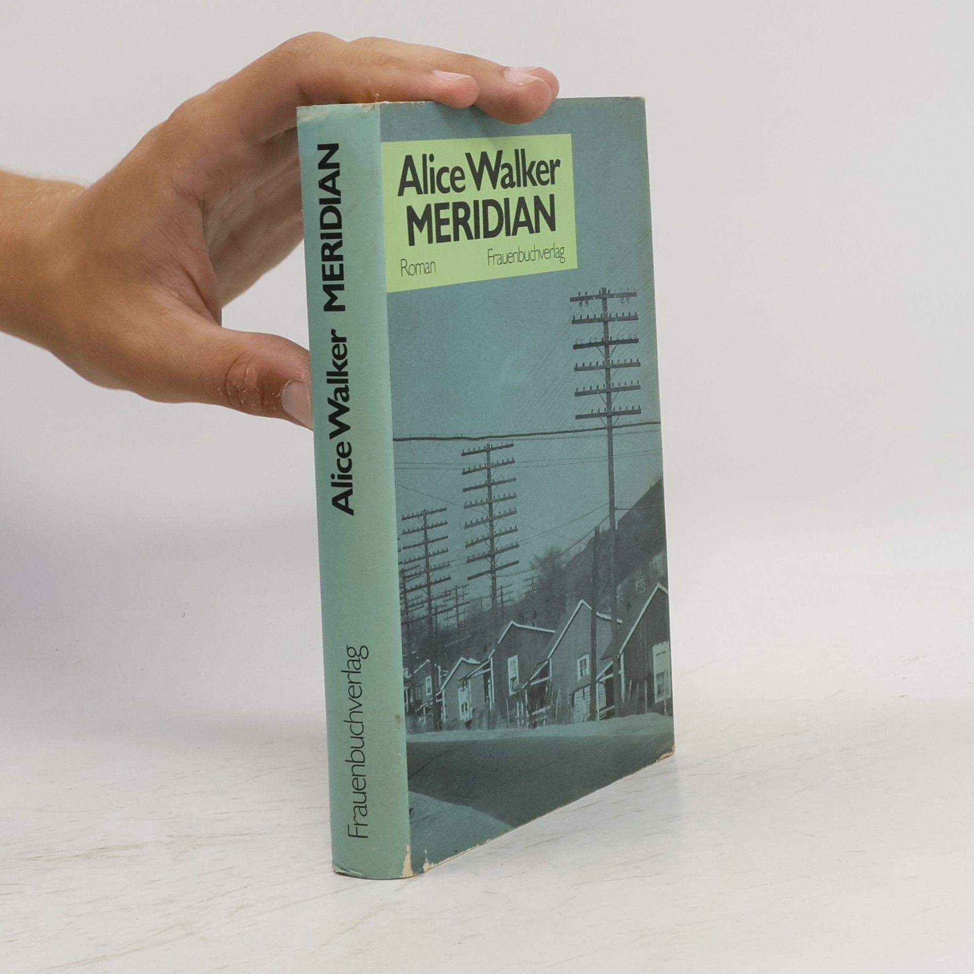 Alice Walker Meridian
