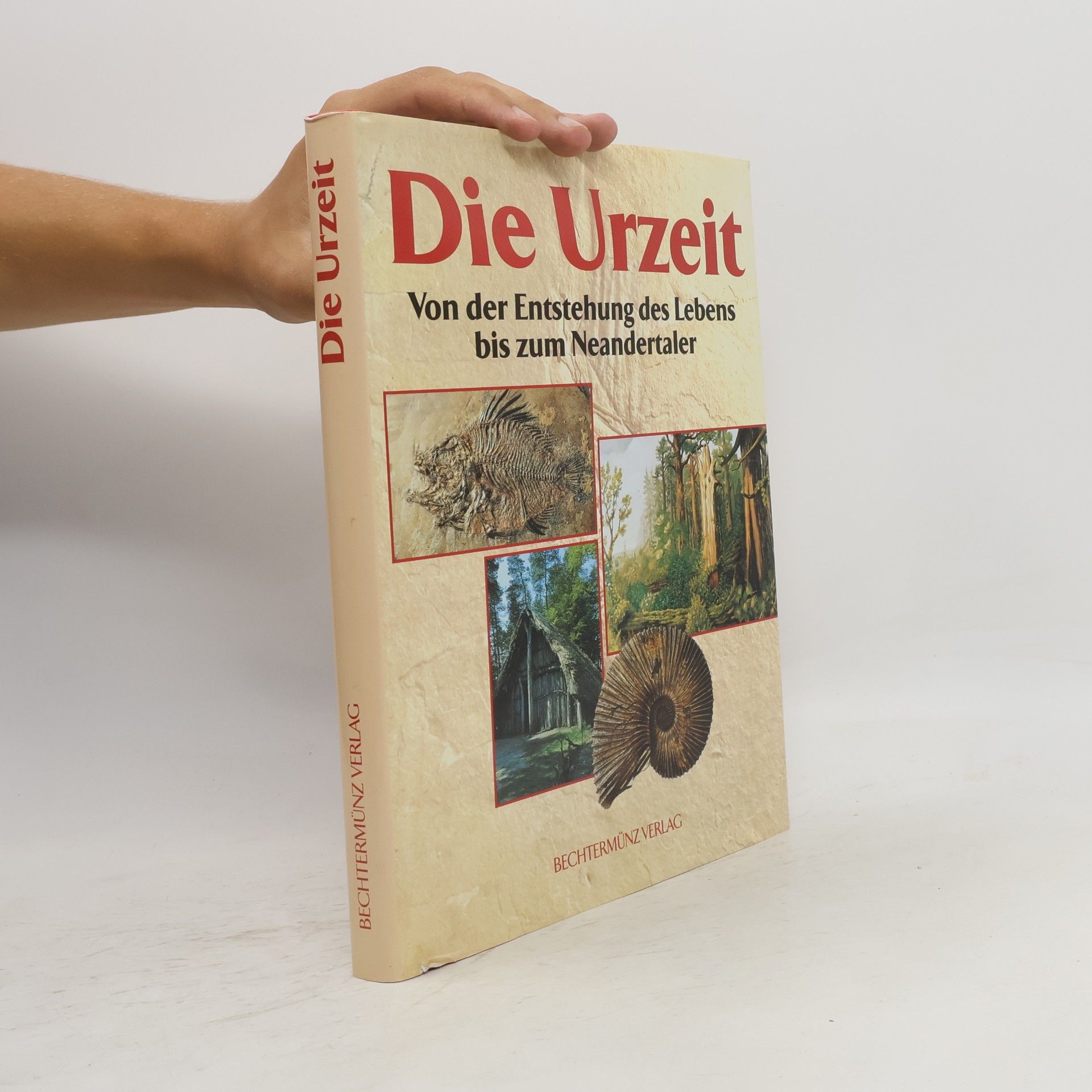 Autorenkollektiv Die Urzeit