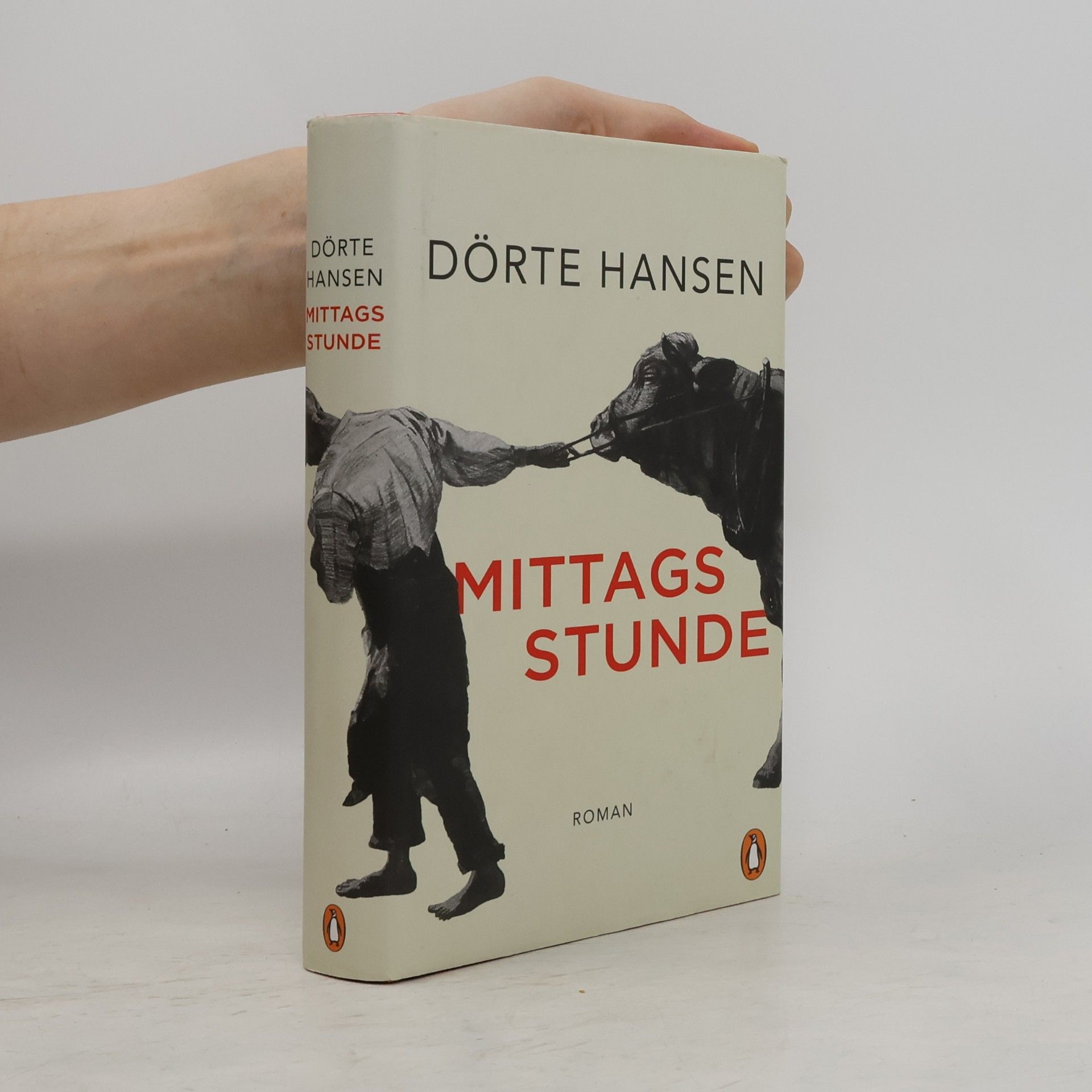 Dörte Hansen Mittagsstunde