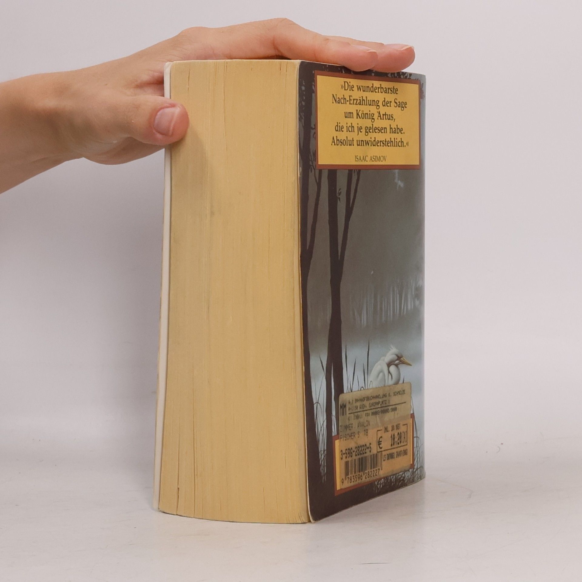 Marion Zimmer Bradley Die Nebel von Avalon