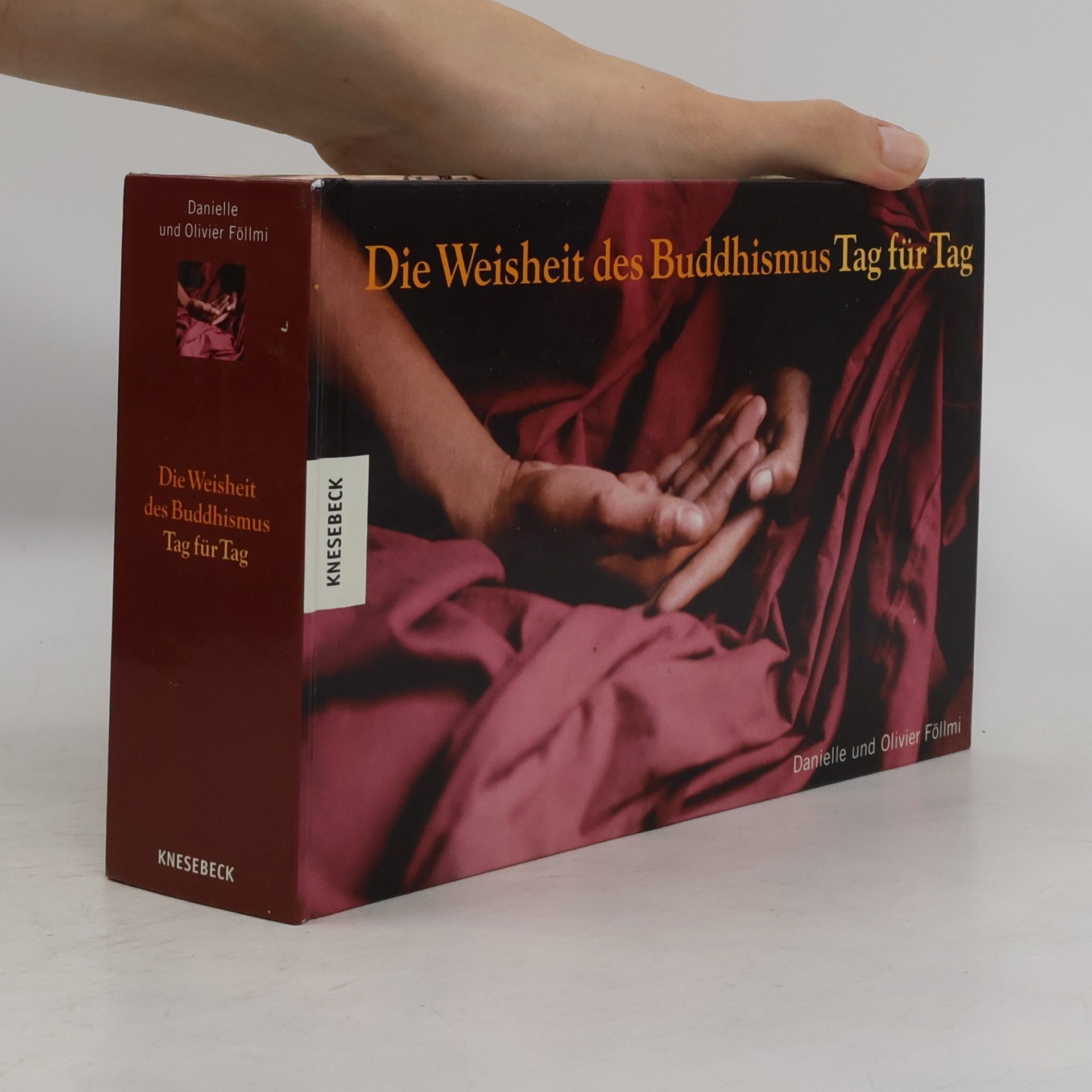 Danielle Föllmi Die Weisheit des Buddhismus Tag für Tag