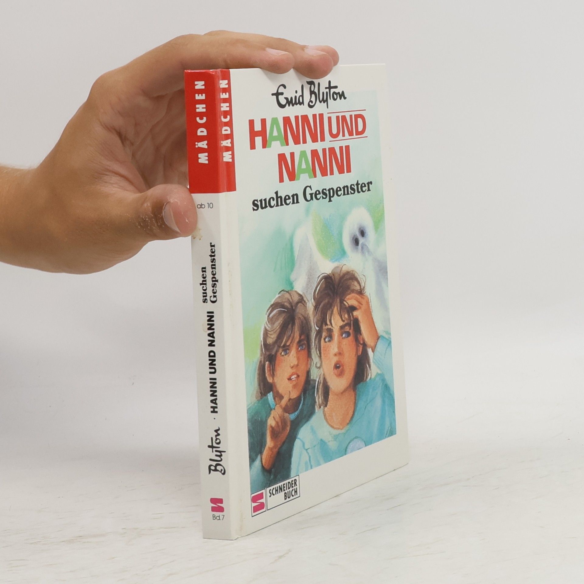 Enid Blyton Hanni und Nanni suchen Gespenster