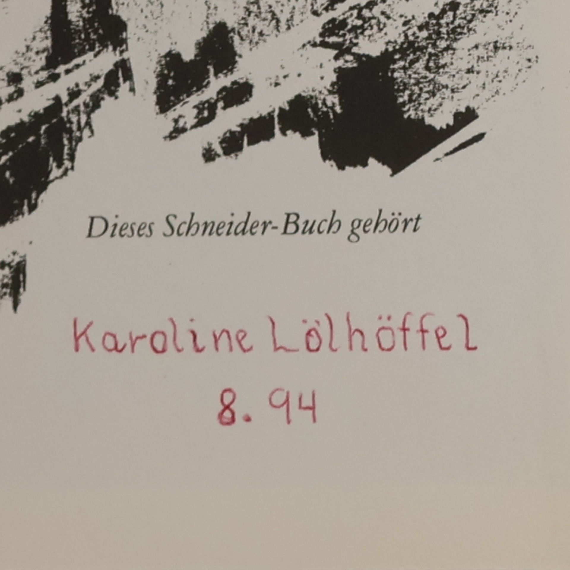 Enid Blyton Hanni und Nanni suchen Gespenster
