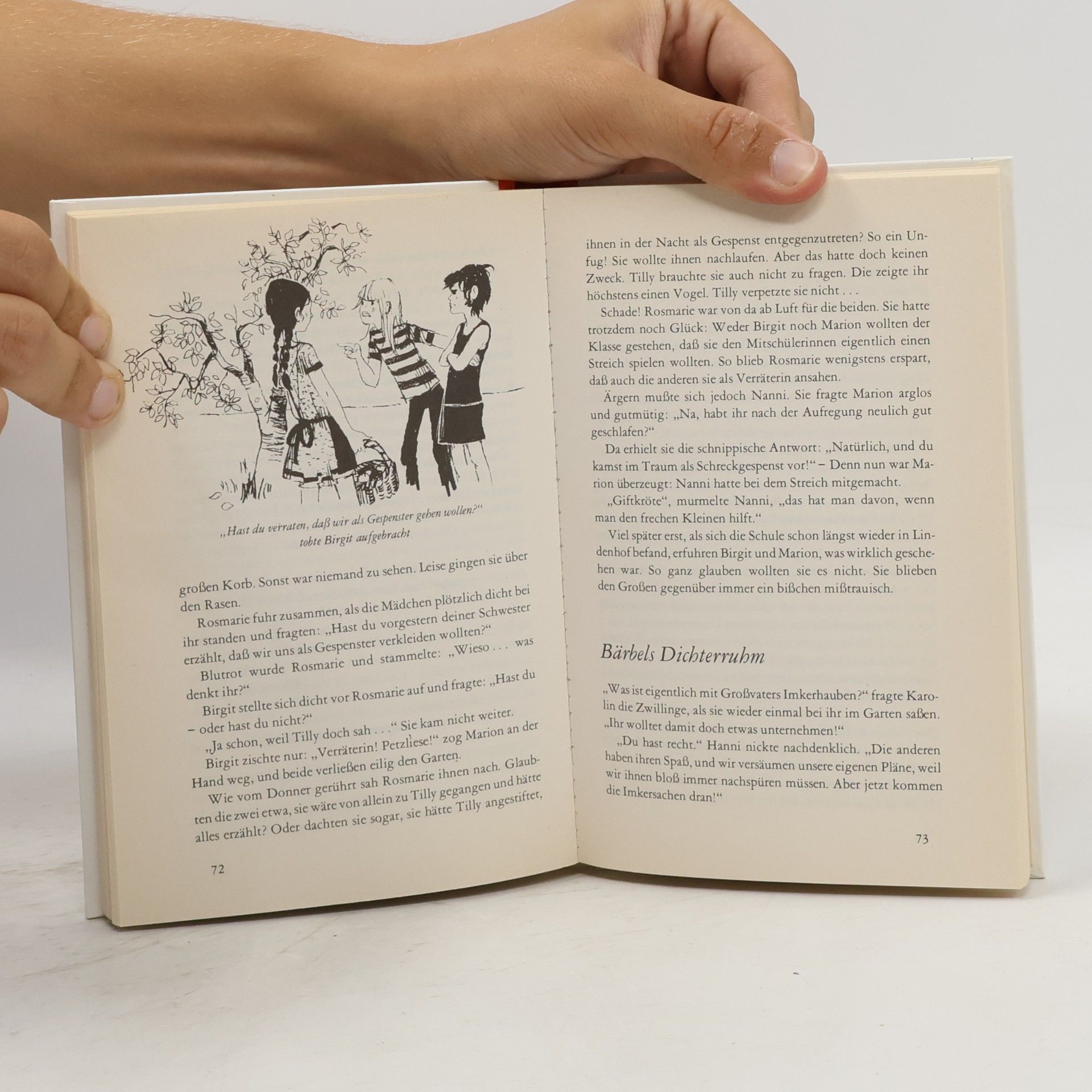Enid Blyton Hanni und Nanni suchen Gespenster