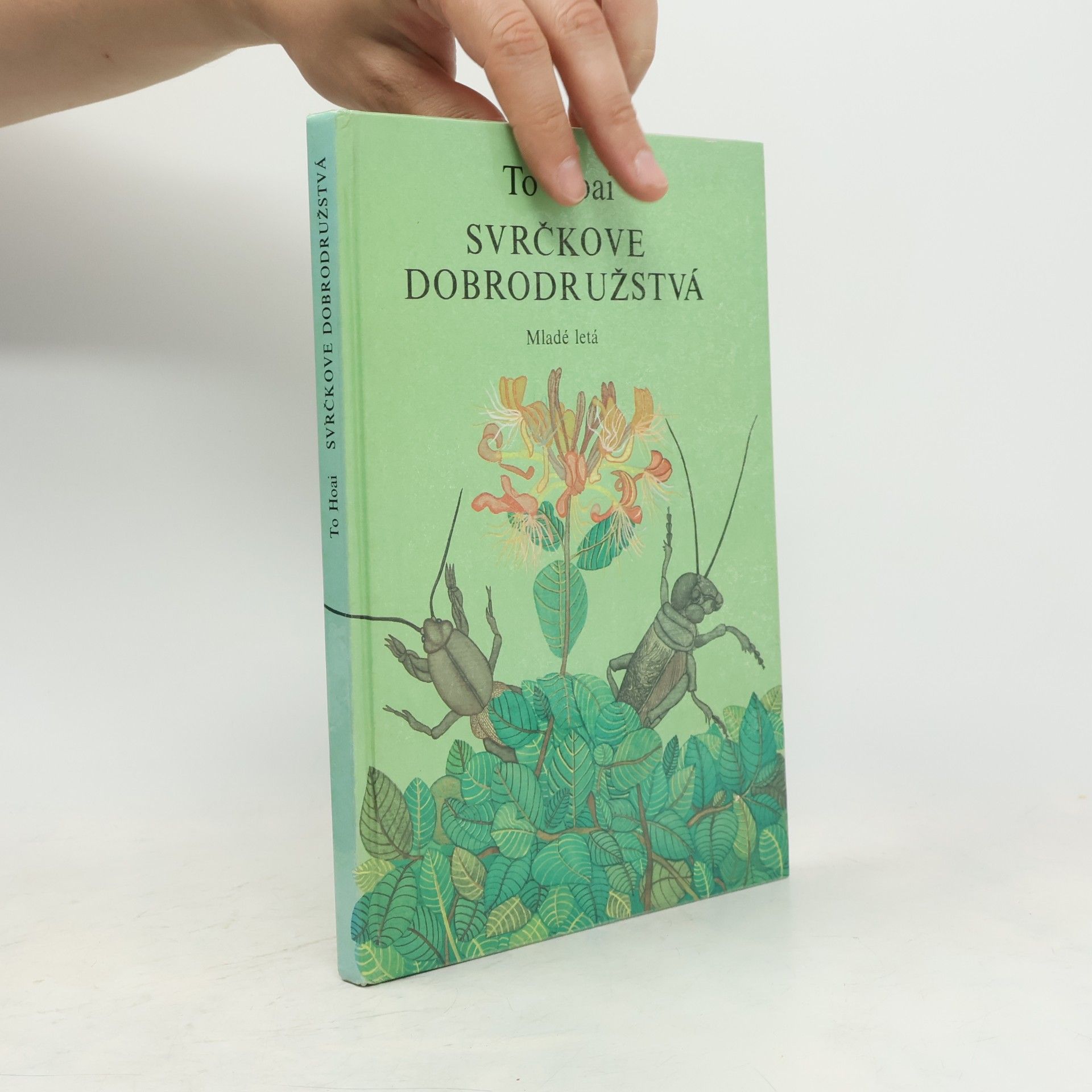 To Hoai Svrčkove dobrodružstvá