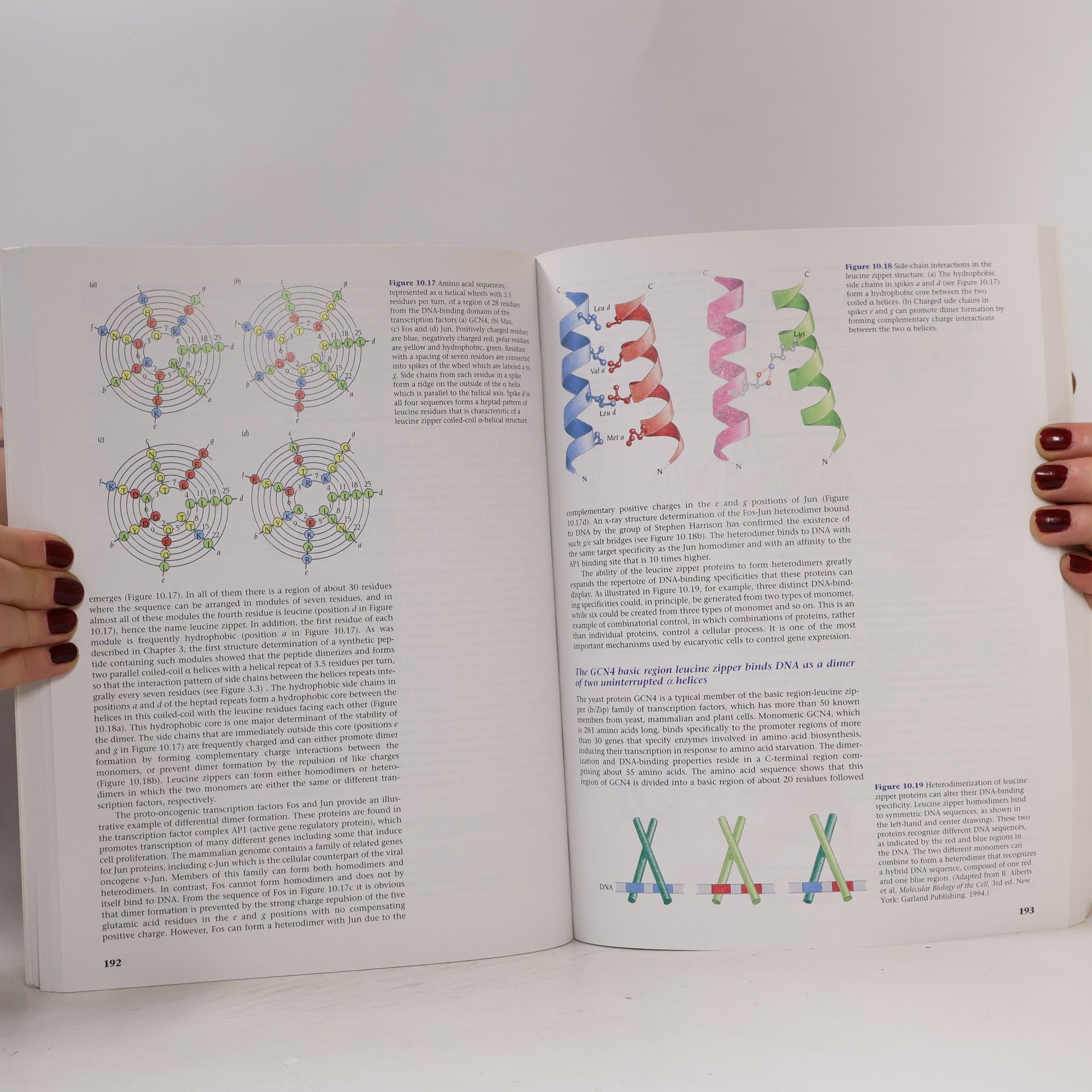 Carl Branden Introduction to Protein Structure