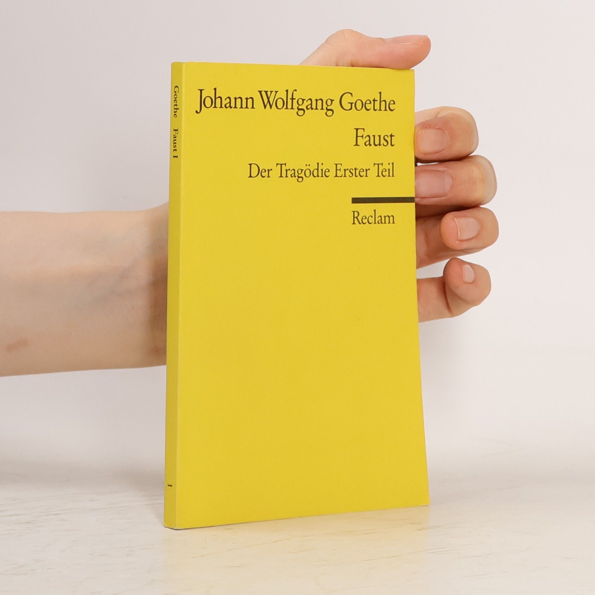 Johann Wolfgang von Goethe Faust : der Tragödie Erster teil