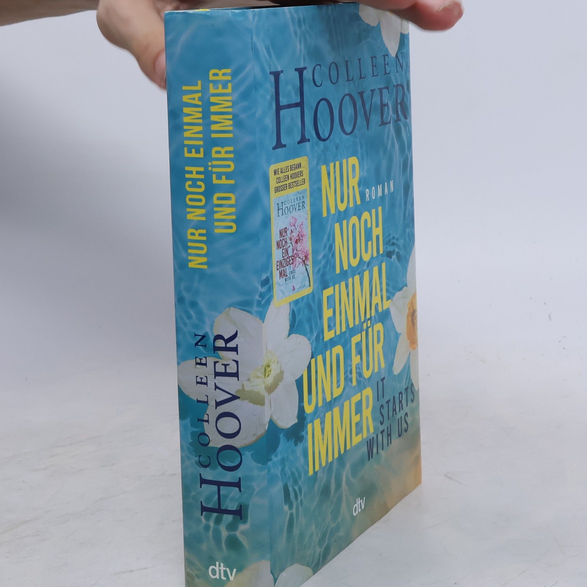 Colleen Hoover Nur noch einmal und für immer