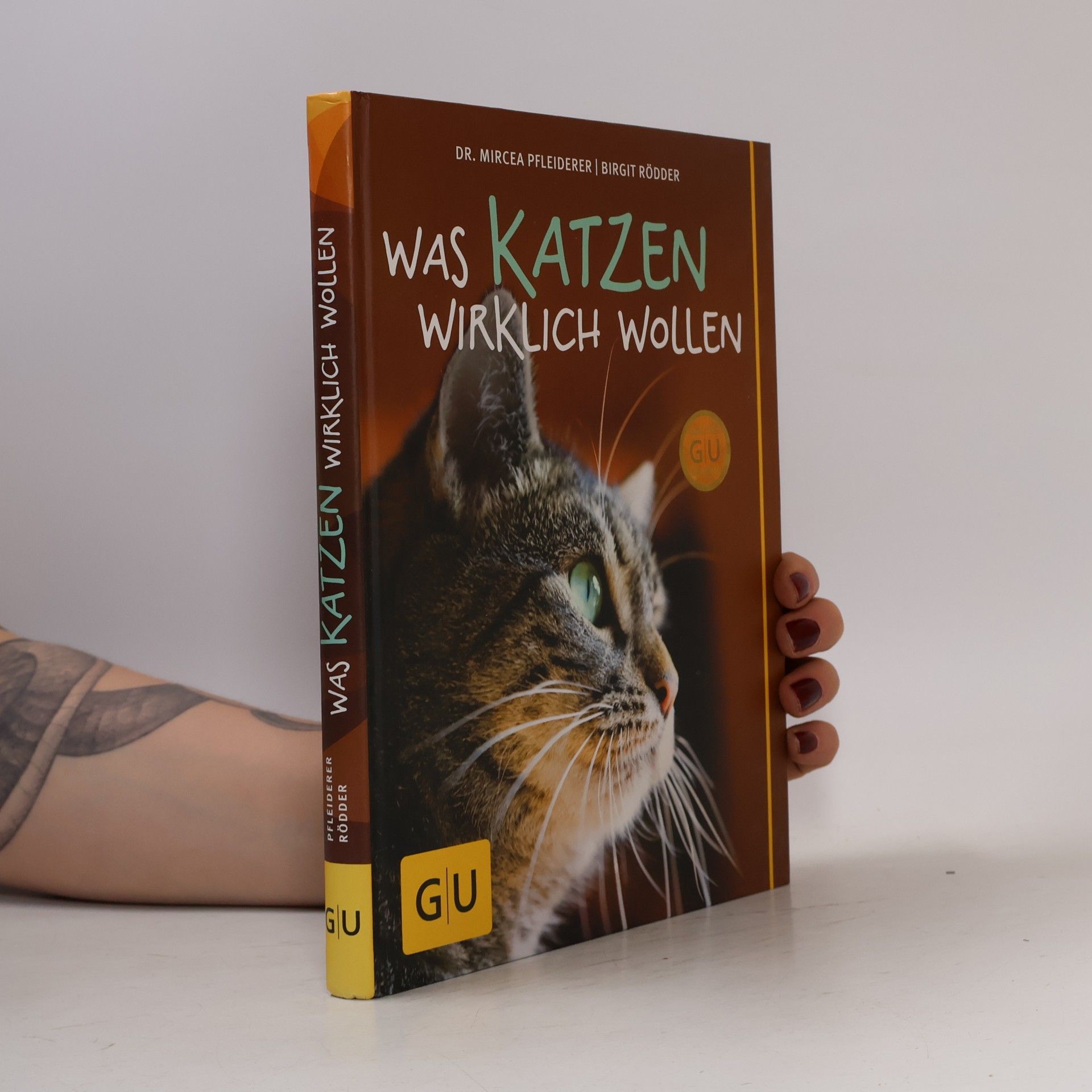 Was Katzen wirklich wollen