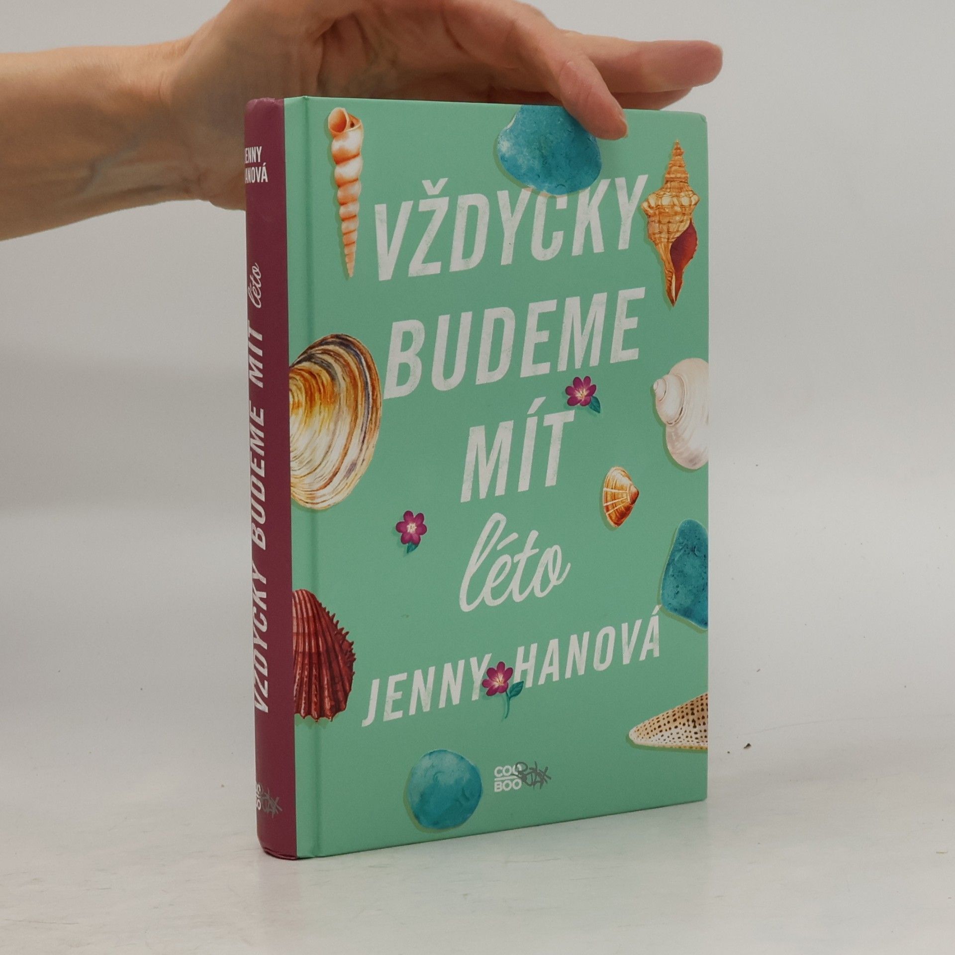 Jenny Han Vždycky budeme mít léto