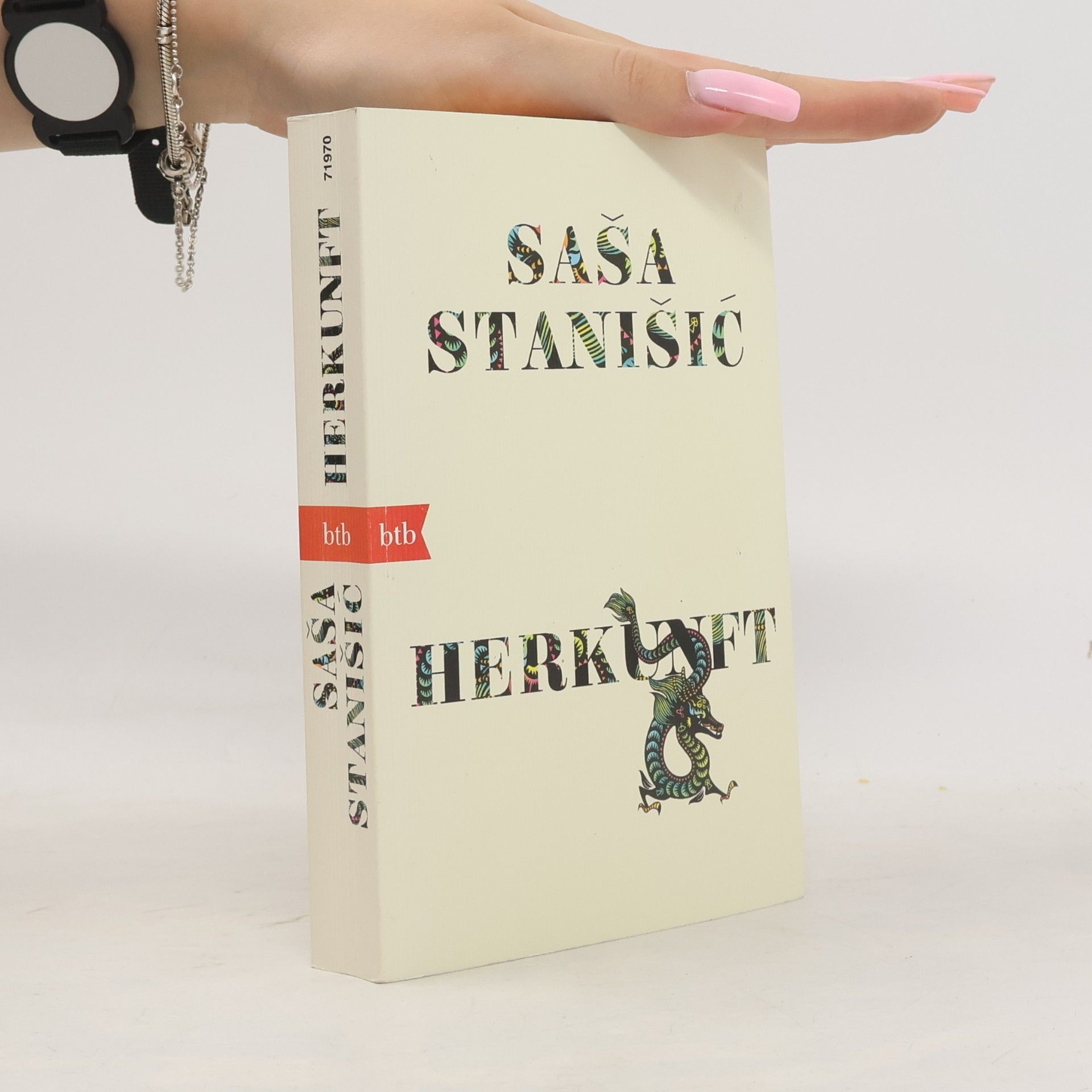 Saša Stanišič Herkunft