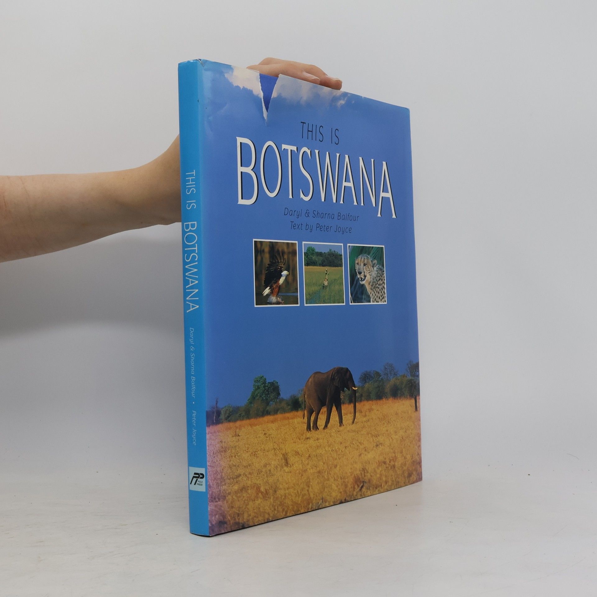 Daryl Balfour This is Botswana