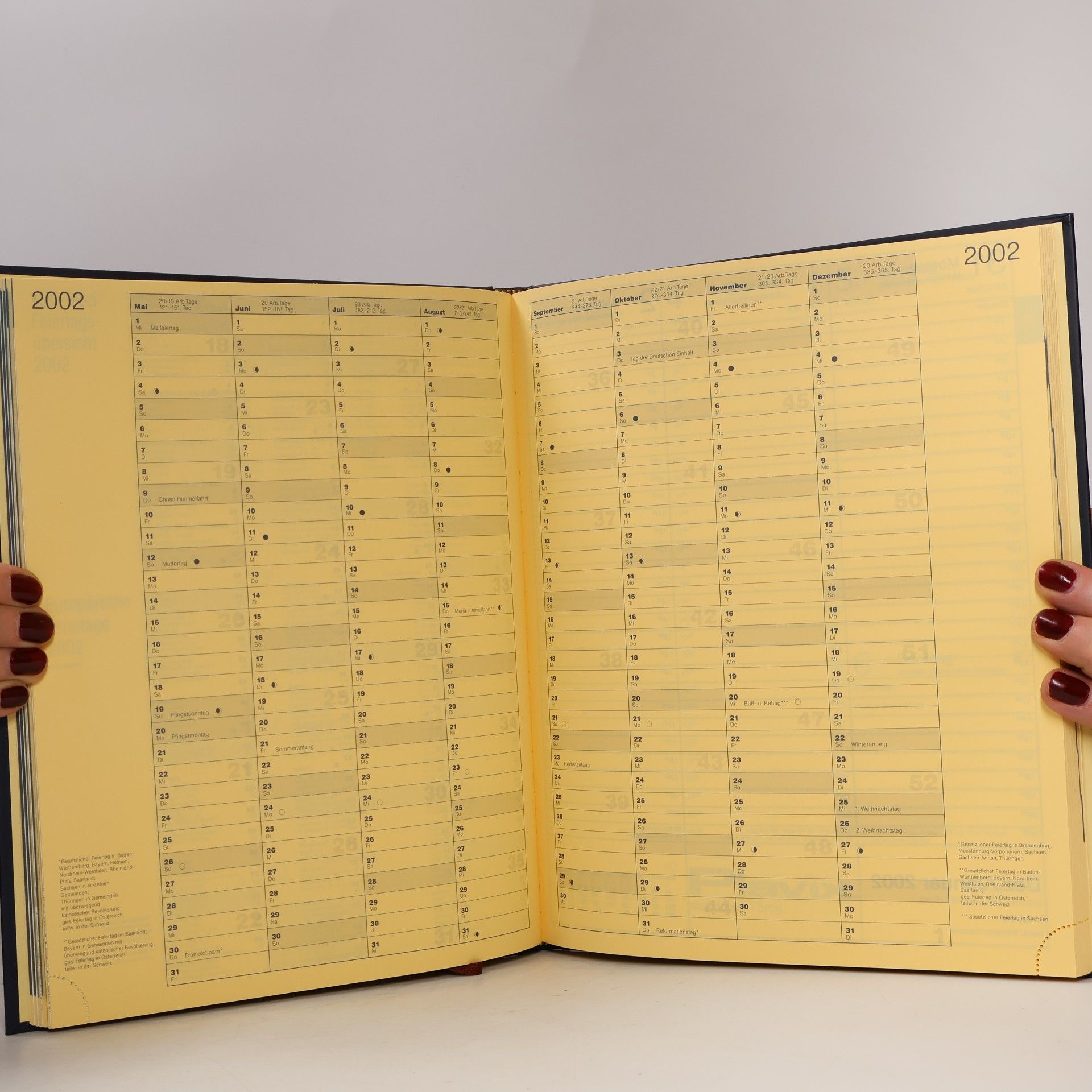 Autorenkollektiv Herz-Krieslauf-Jahrbuch 2002