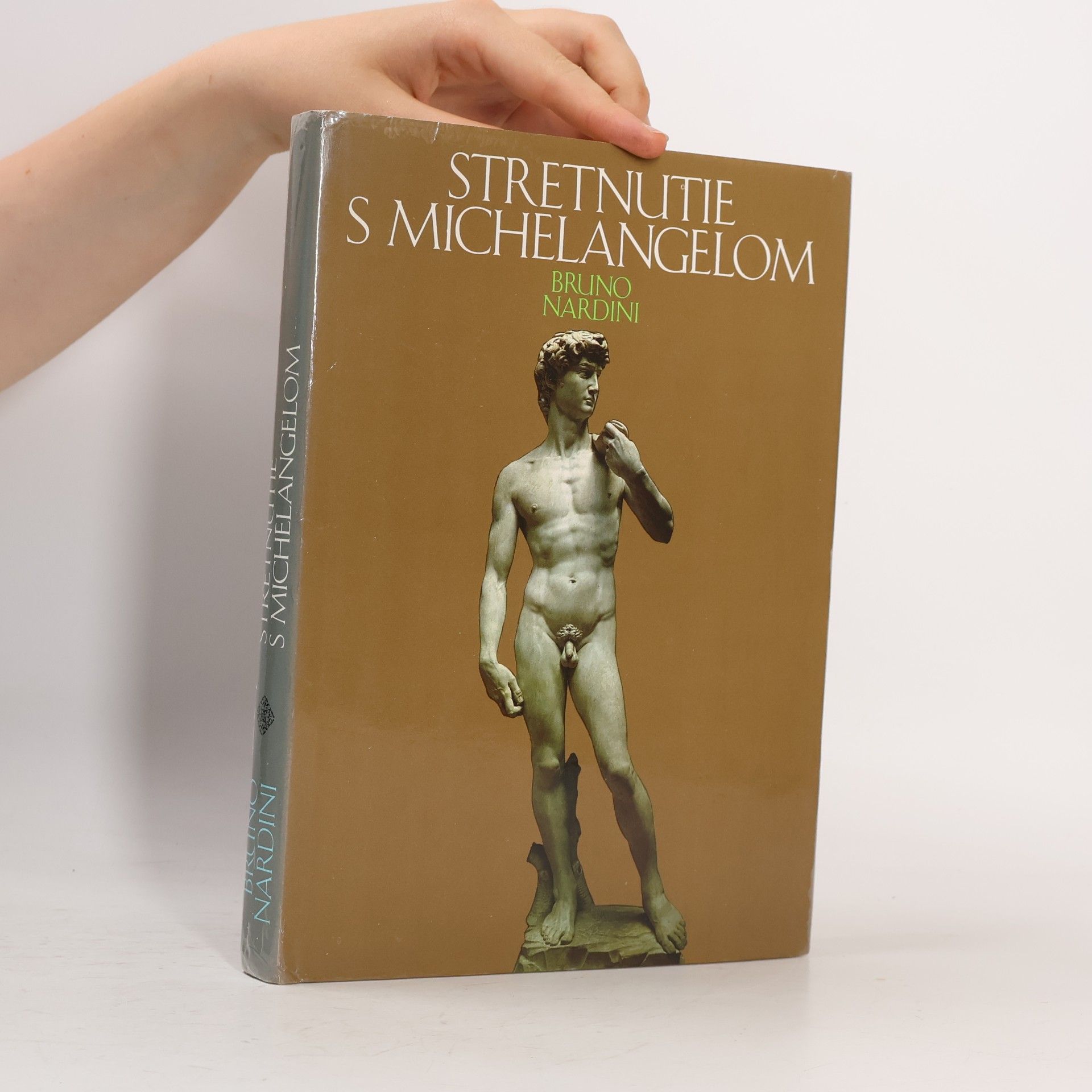 Bruno Nardini Stretnutie s Michelangelom