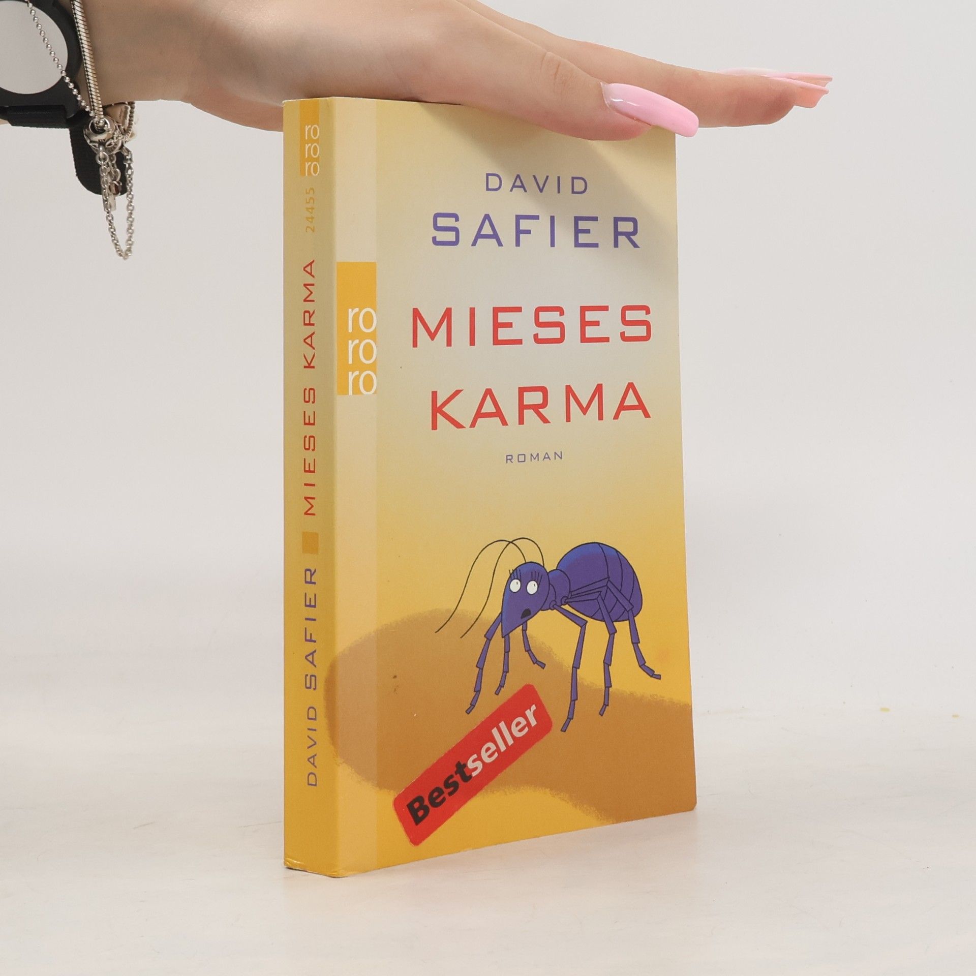 David Safier Mieses Karma