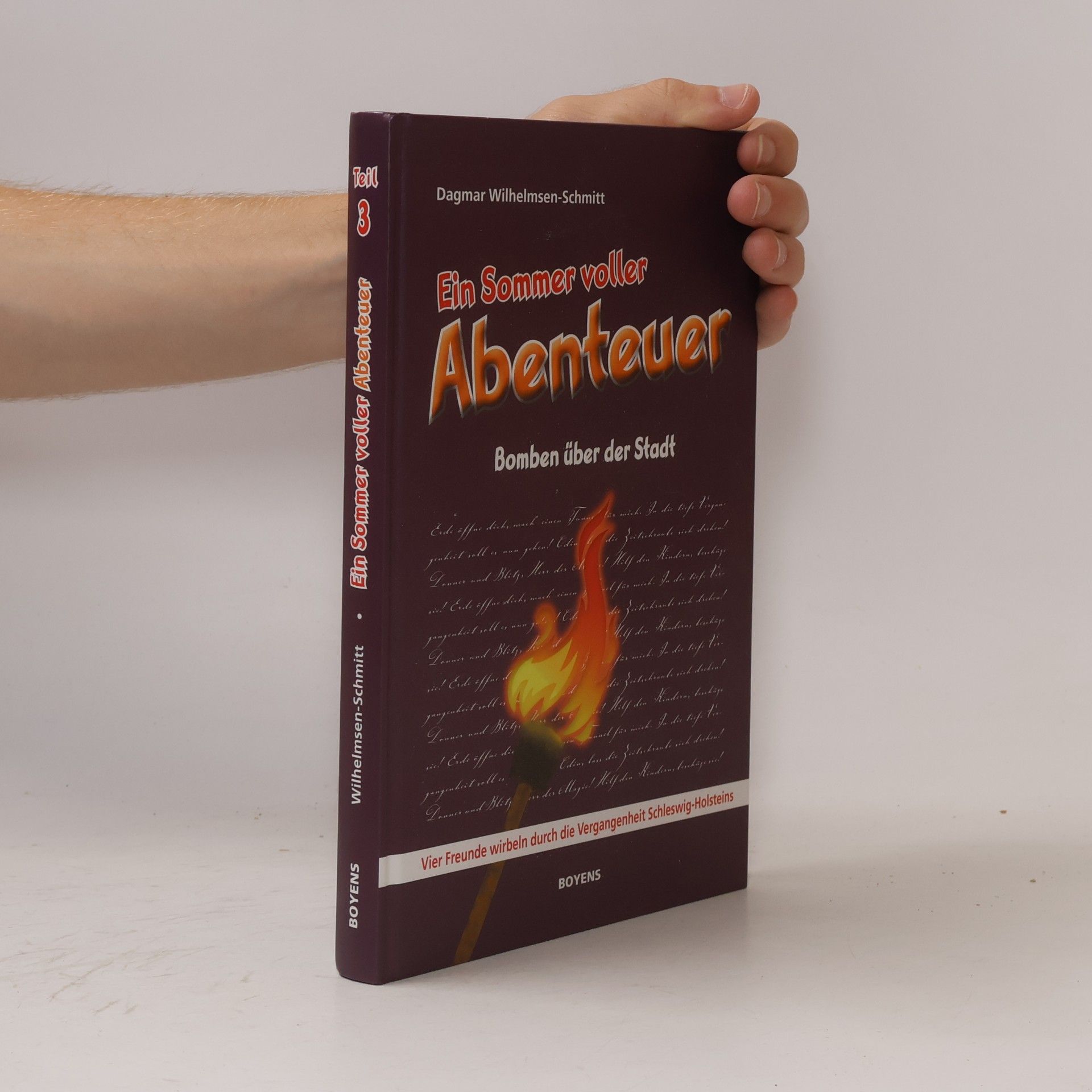 Dagmar Wilhelmsen-Schmitt Ein Sommer voller Abenteuer, Teil 3. Bomben über der Stadt. Vier Freunde wirbeln durch die Vergangenheit Schleswig-Holsteins