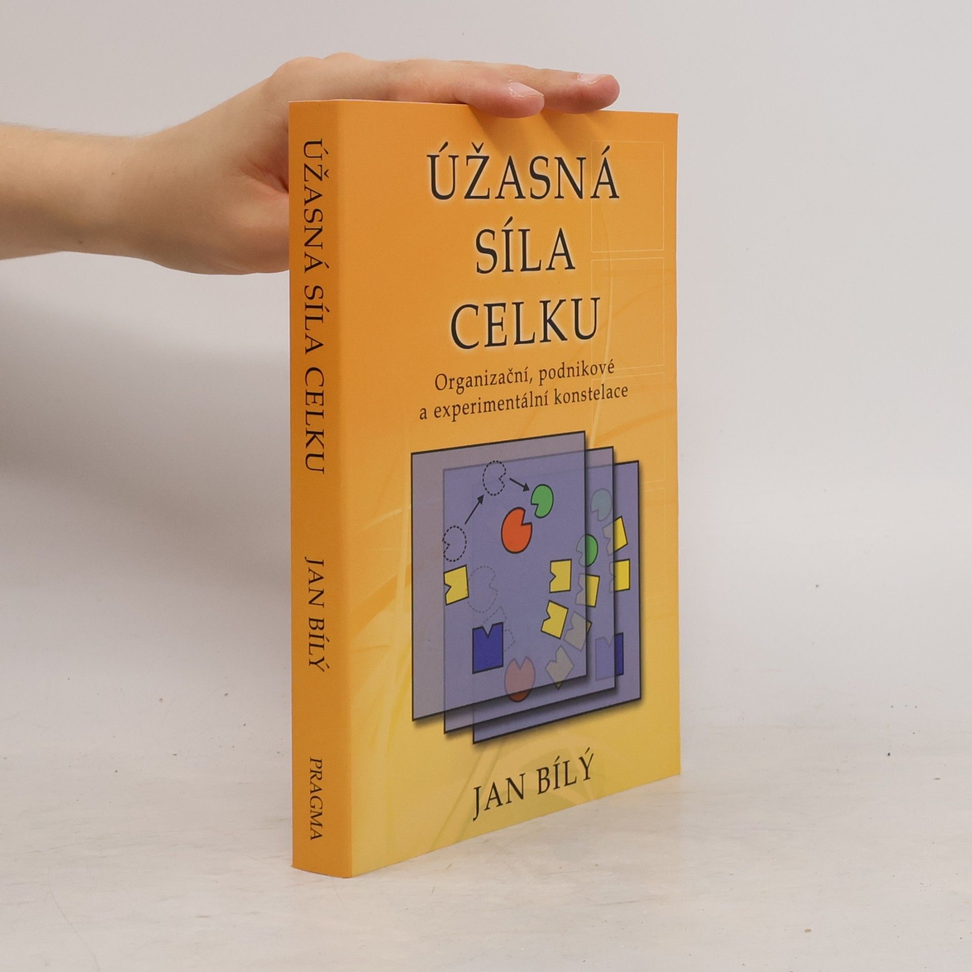 Jan Bílý Úžasná síla celku : organizační, podnikové a experimentální konstelace