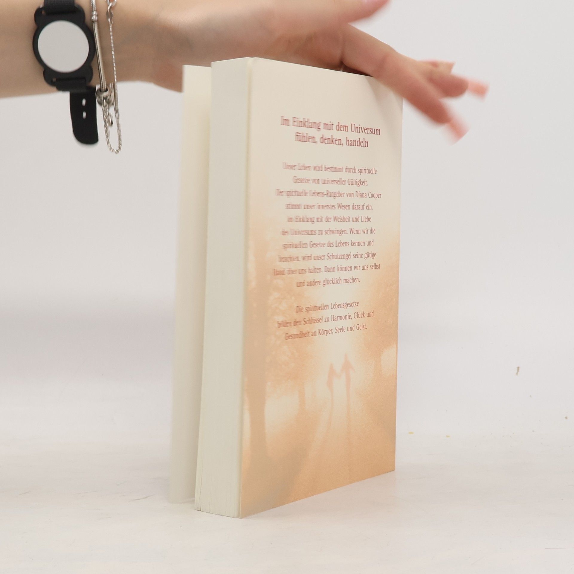 Diana Cooper Der spirituelle Lebens-Ratgeber