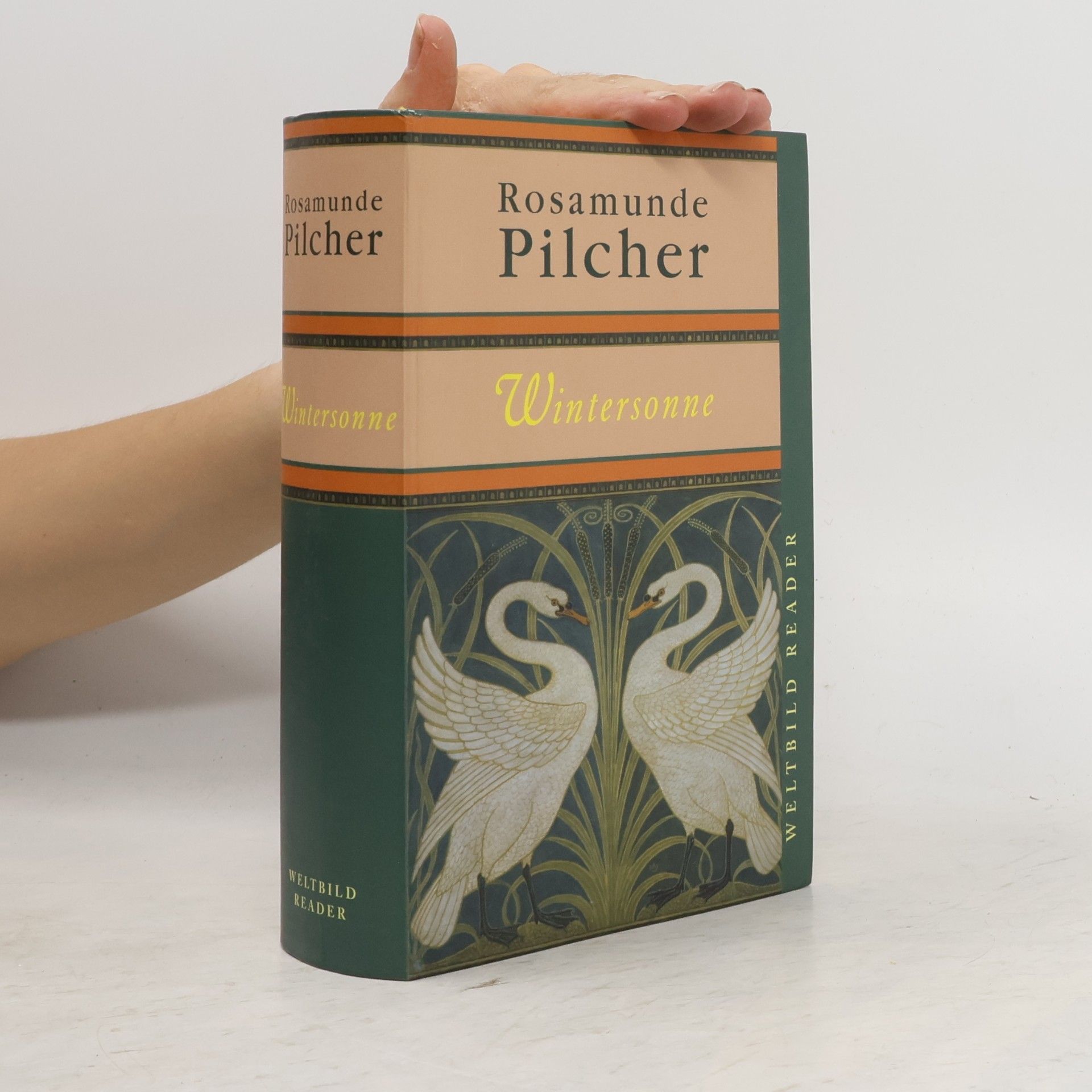 Rosamunde Pilcher Wintersonne