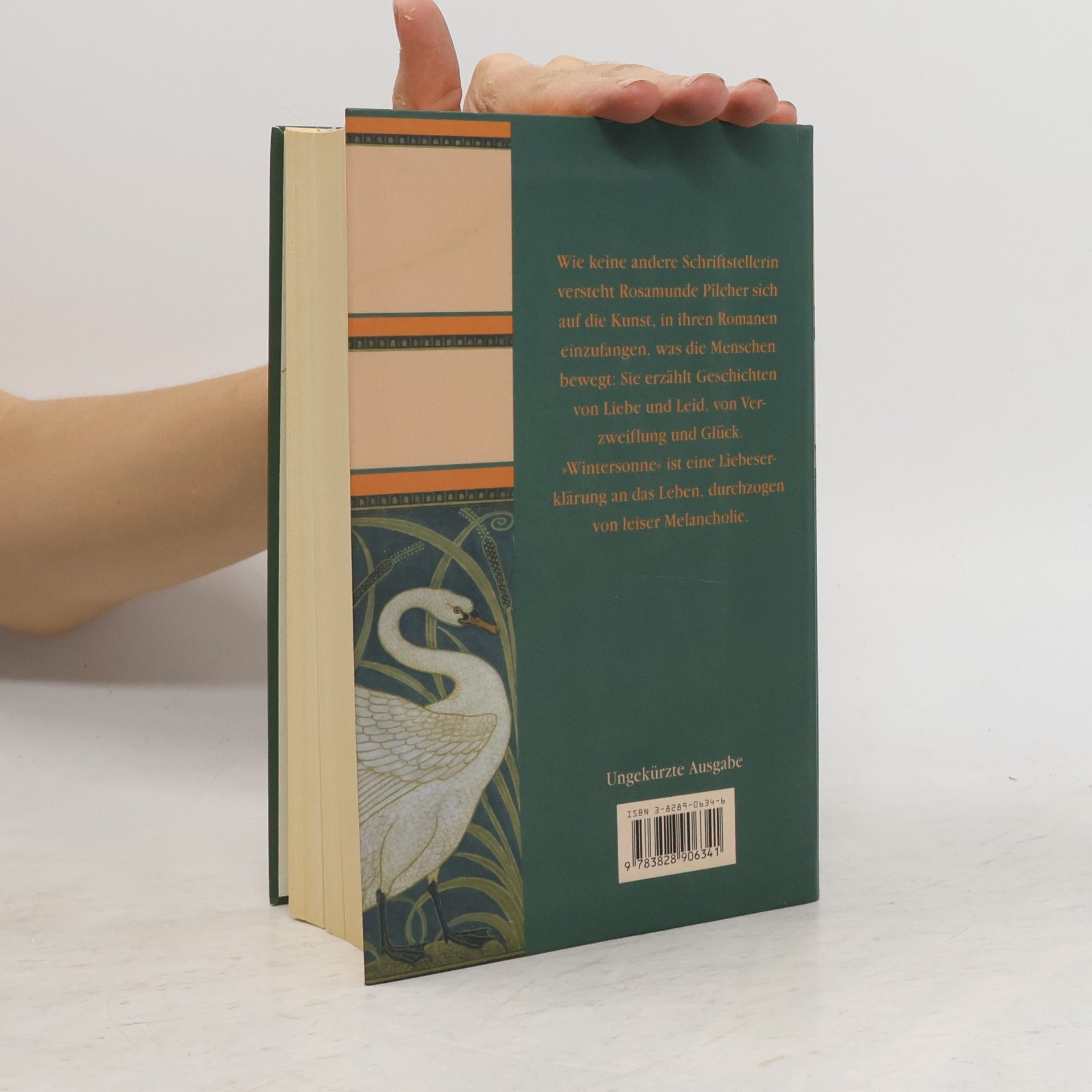 Rosamunde Pilcher Wintersonne