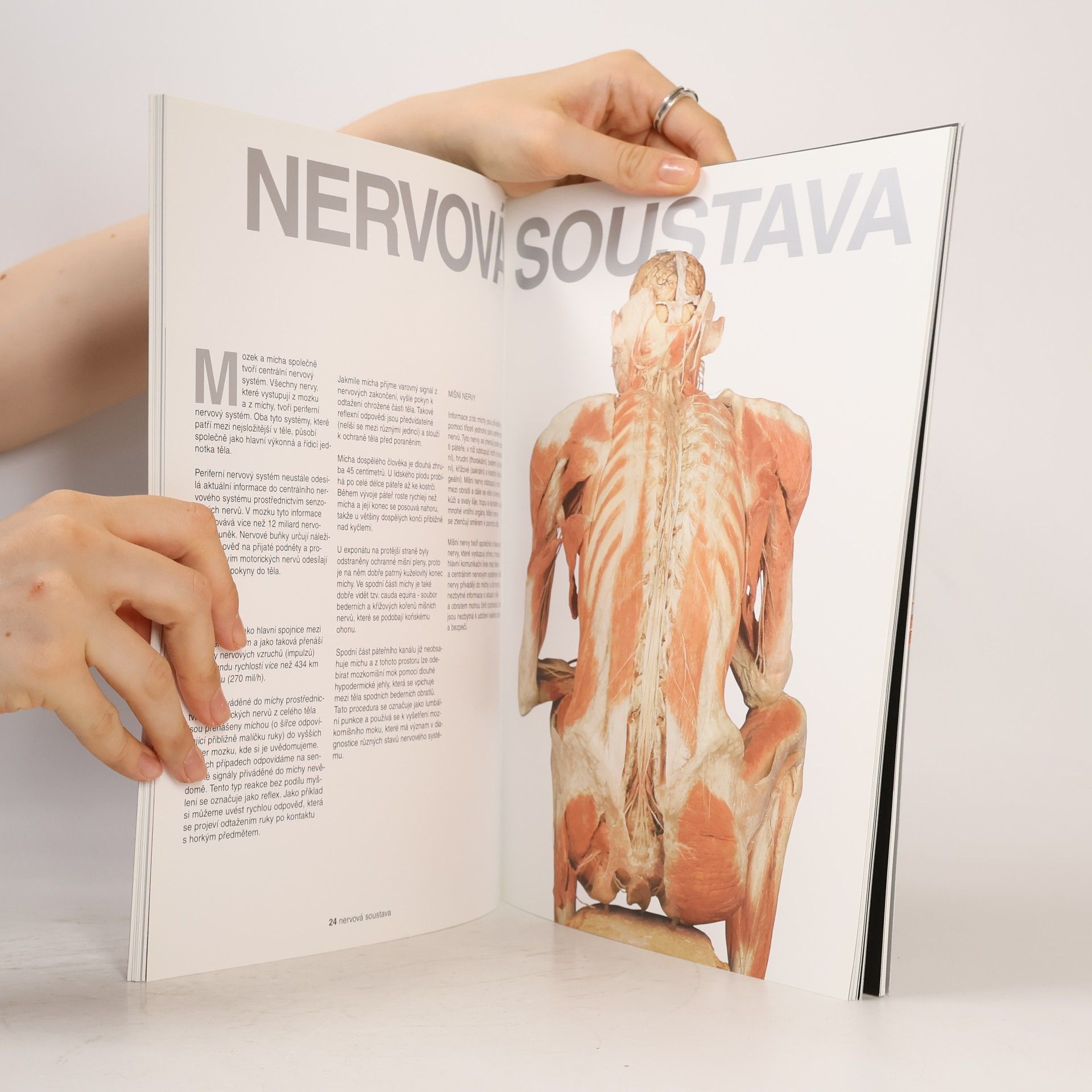 Autorenkollektiv Bodies. The Exhibition