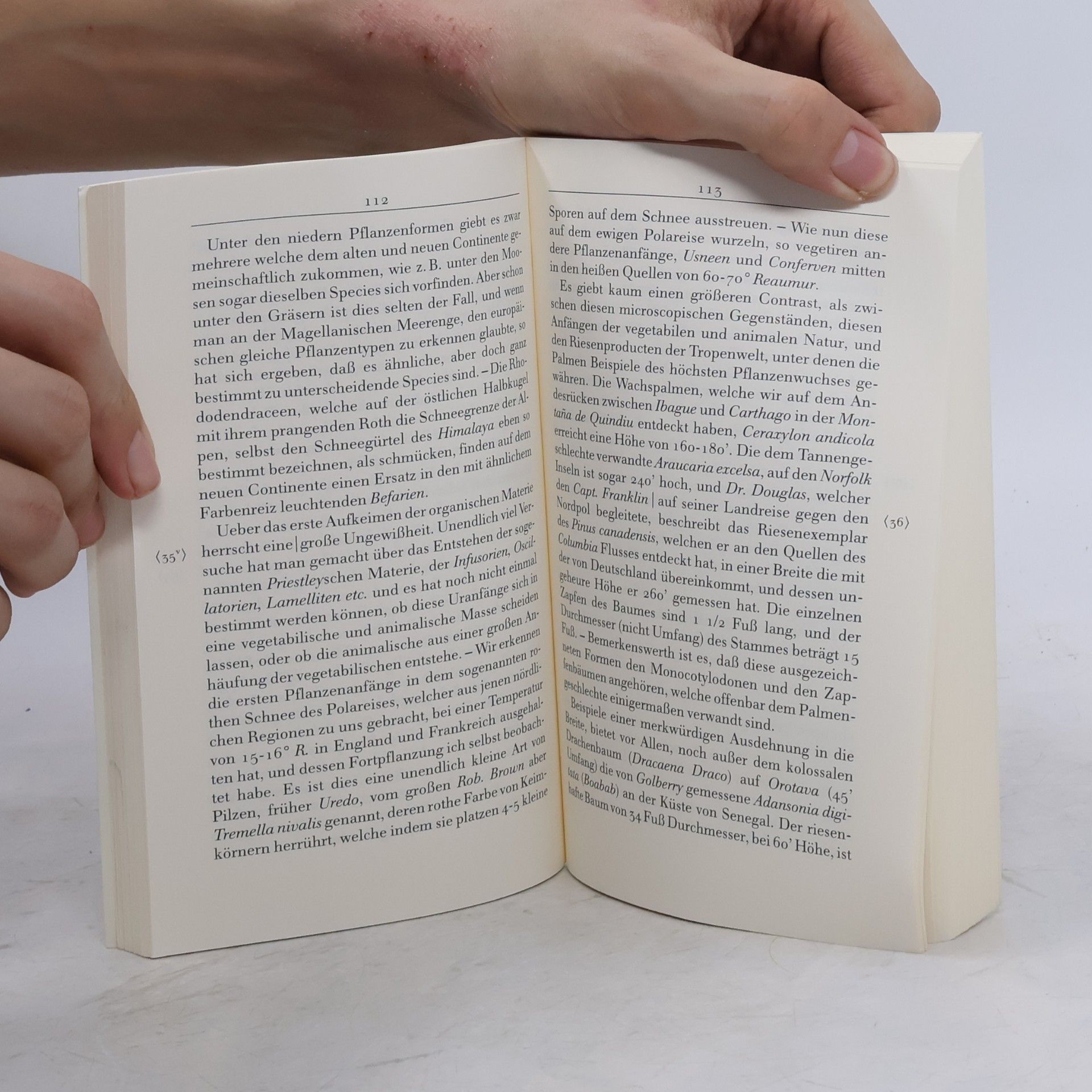 Alexander von Humboldt Insel Taschenbuch: Über das Universum