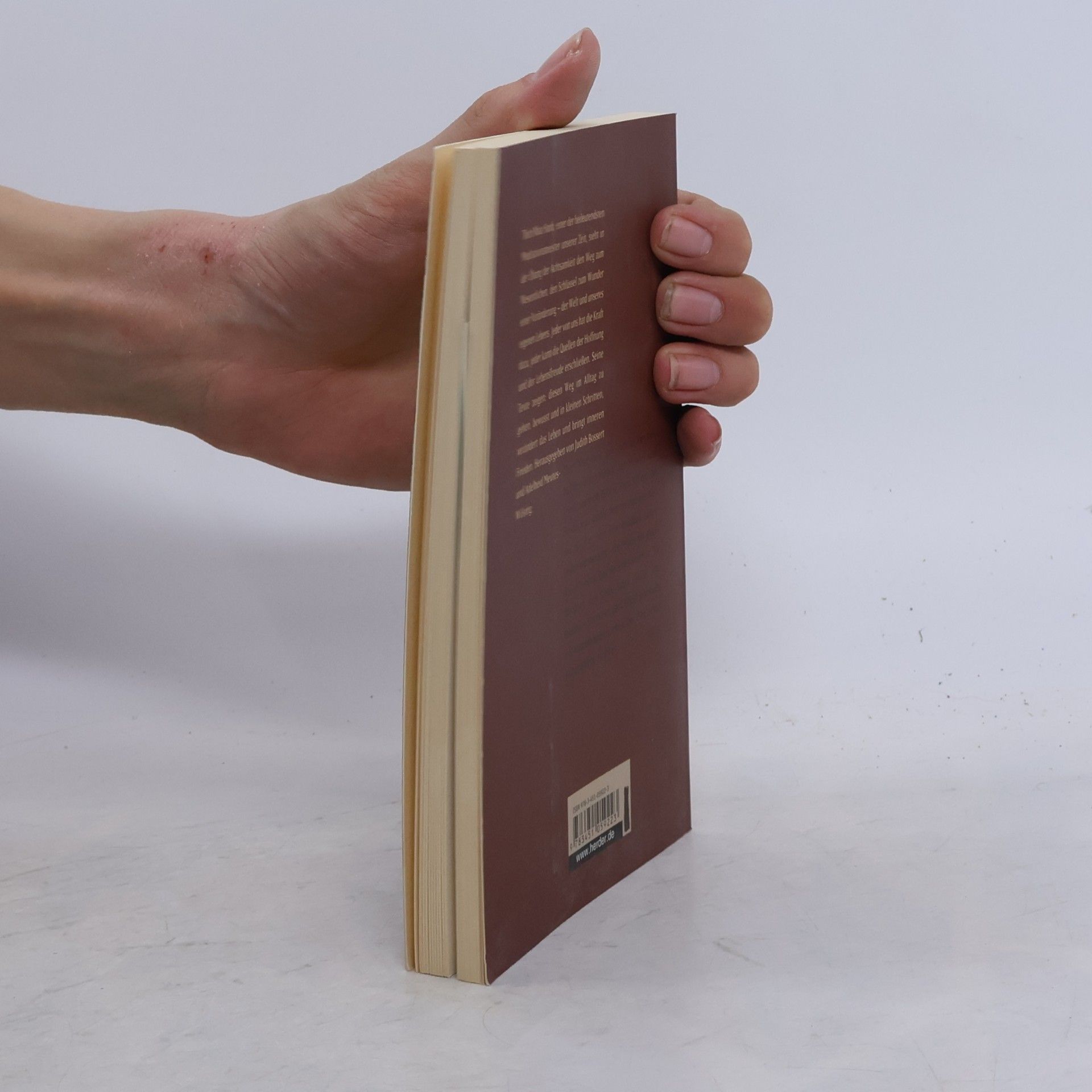 Thích Nhất Hạnh Zeiten der Achtsamkeit