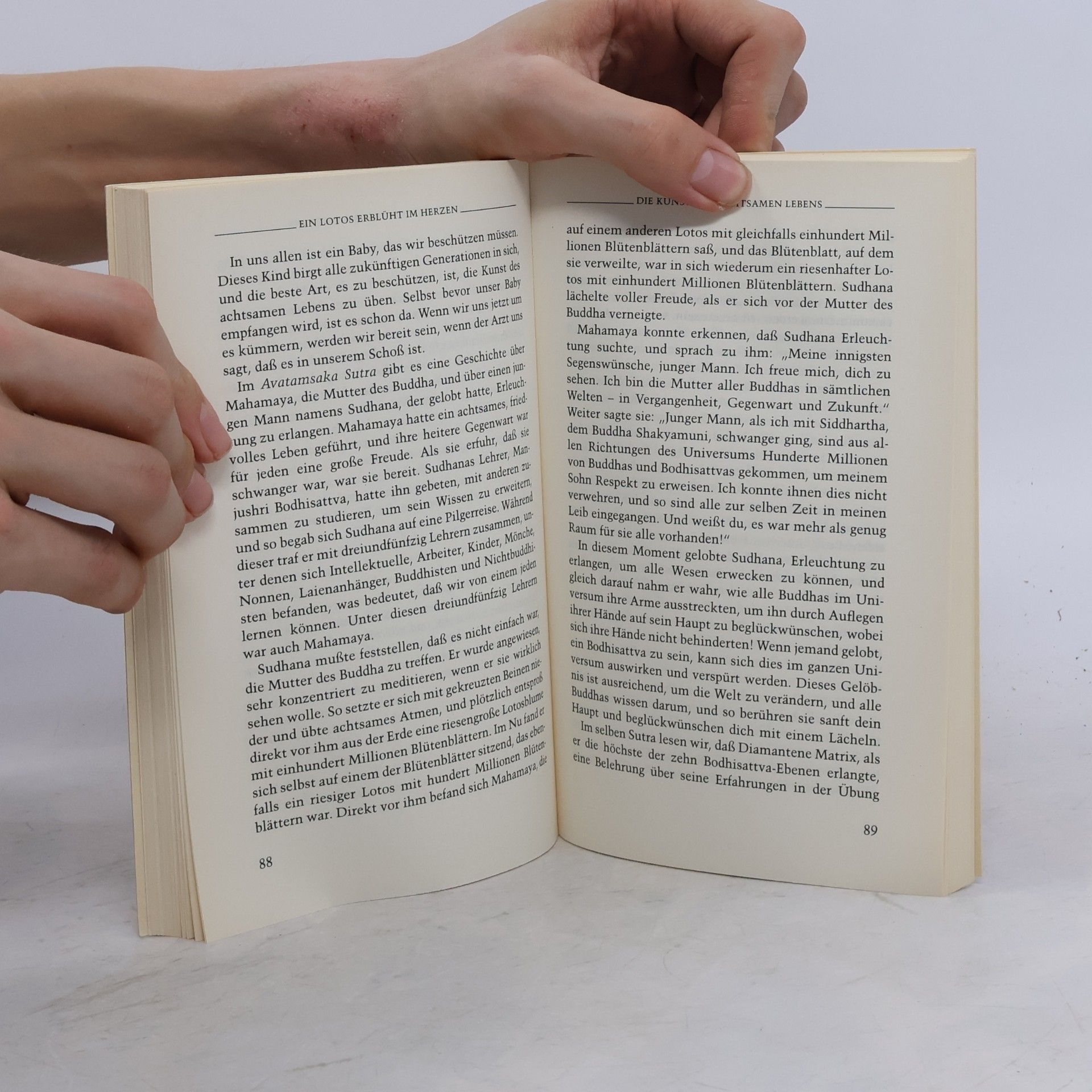 Thích Nhất Hạnh Zeiten der Achtsamkeit