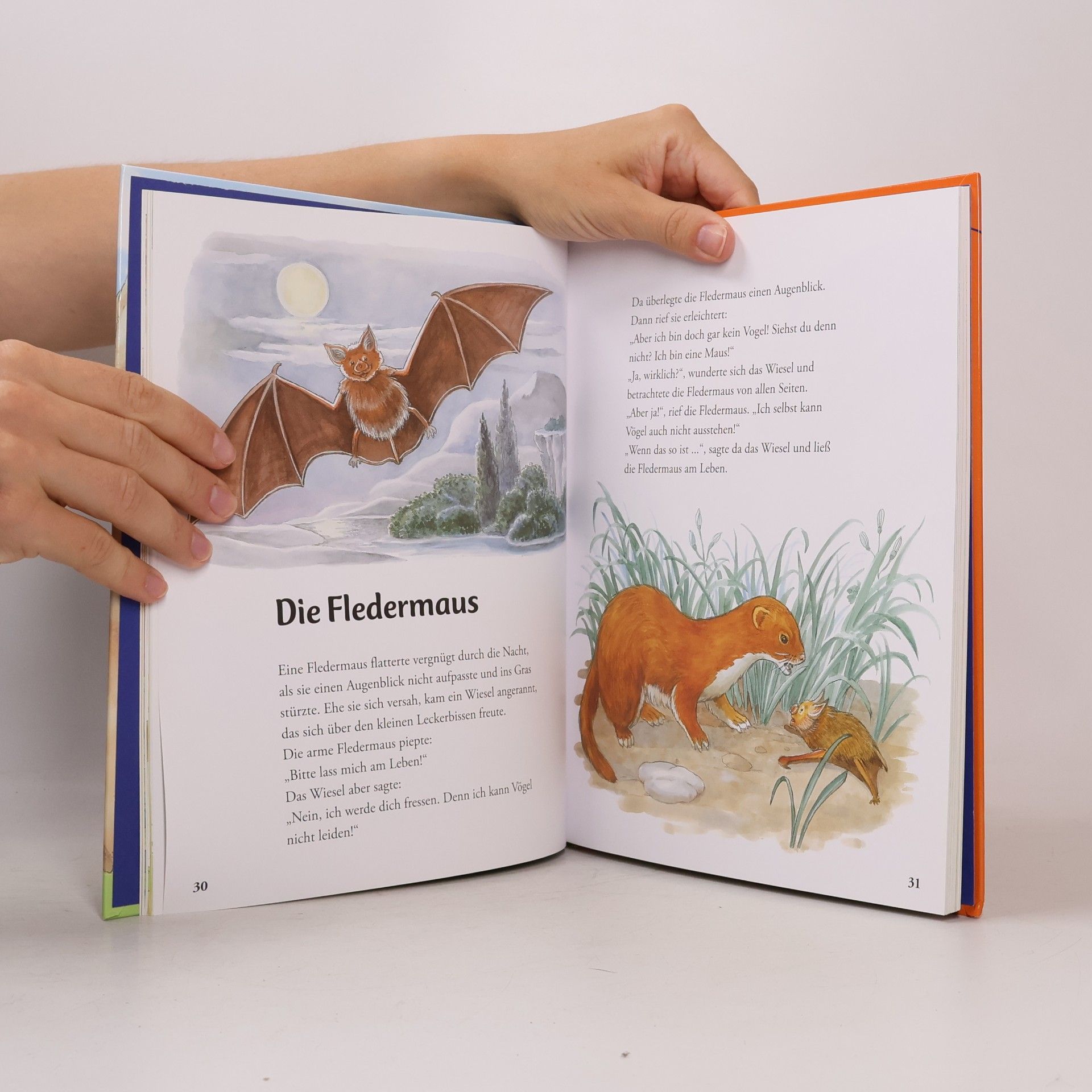Anne Suess Die schönsten Tierfabeln für Kinder