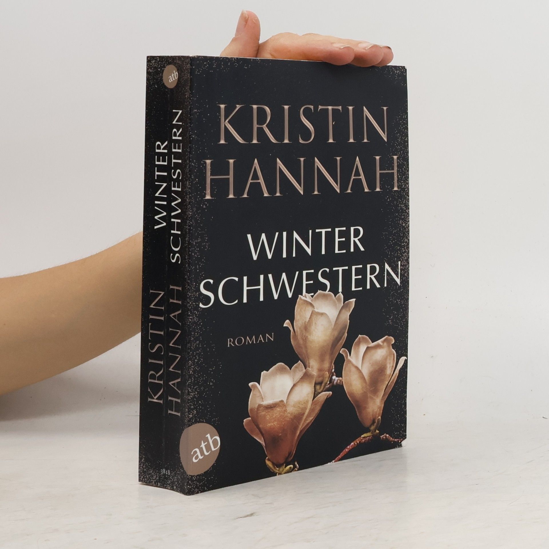 Kristin Hannah Winterschwestern
