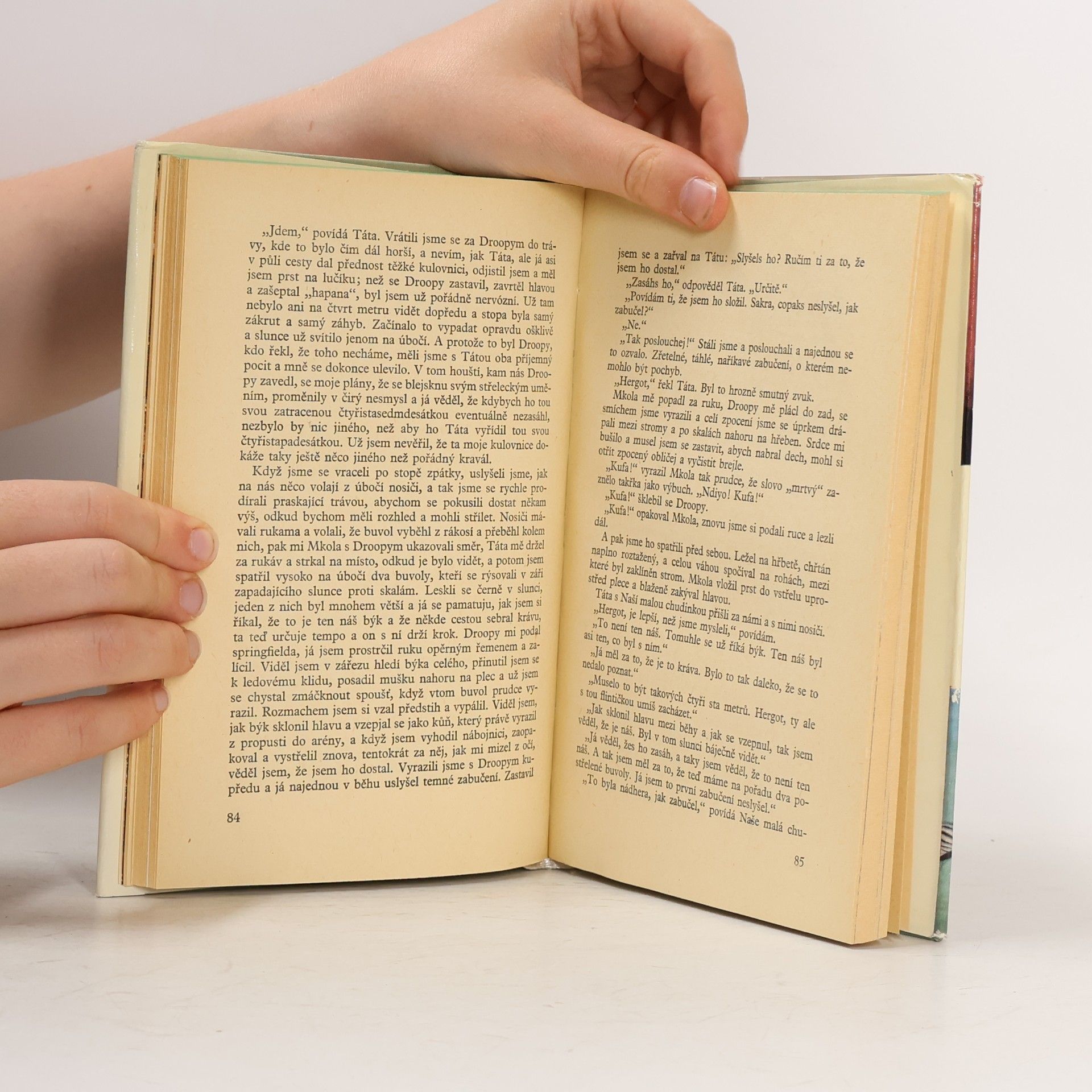 Ernest Hemingway Zelené pahorky africké