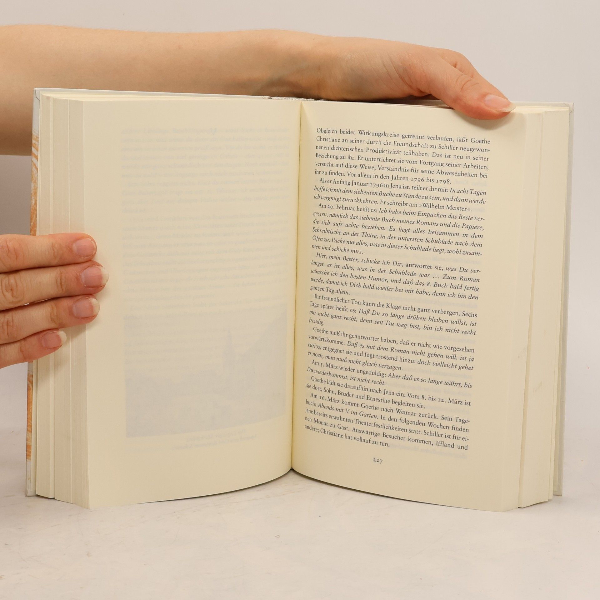Sigrid Damm Christiane und Goethe