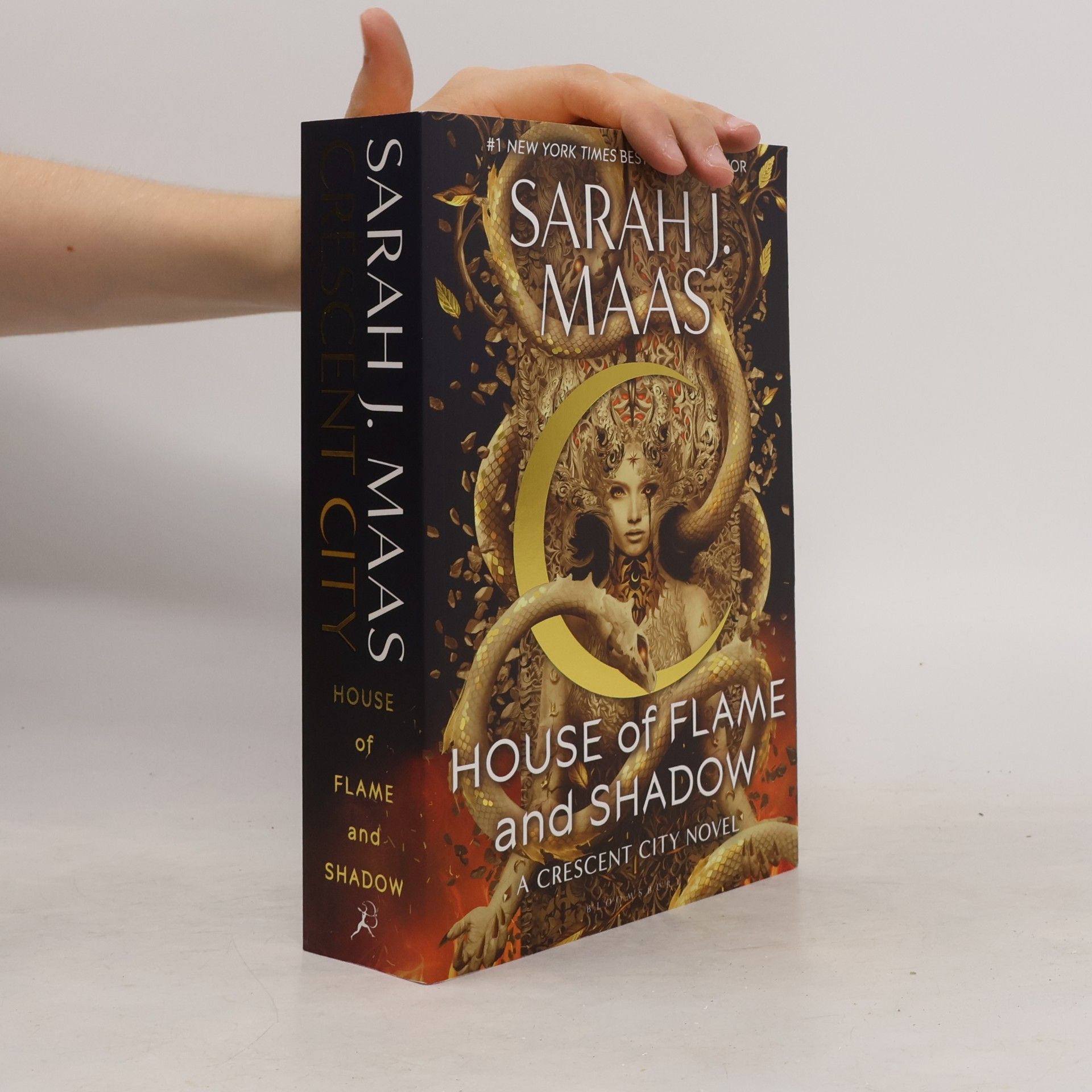 Sarah J. Maas House of Flame and Shadow