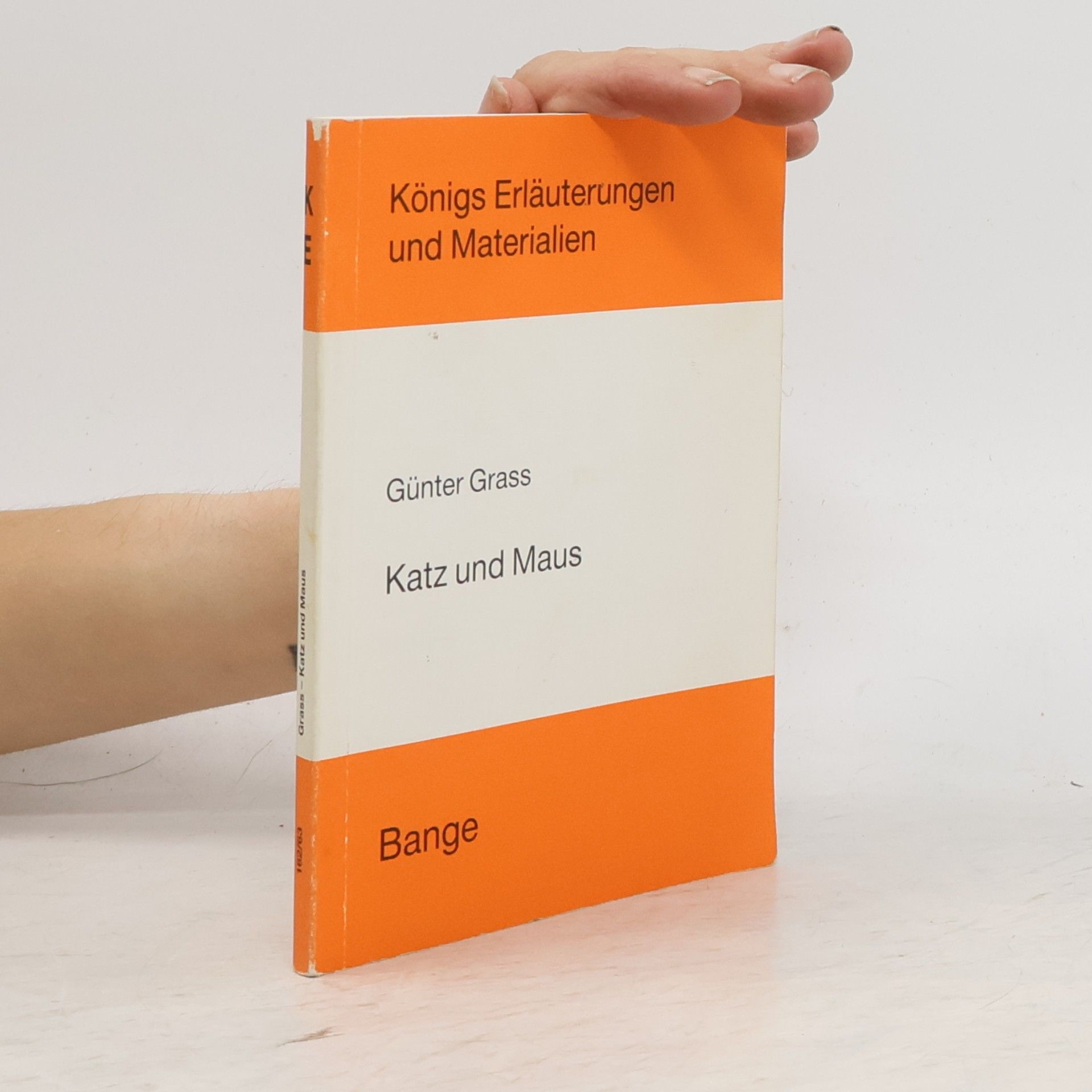 Edgar Neis Erläuterungen zu Günter Grass, Katz und Maus