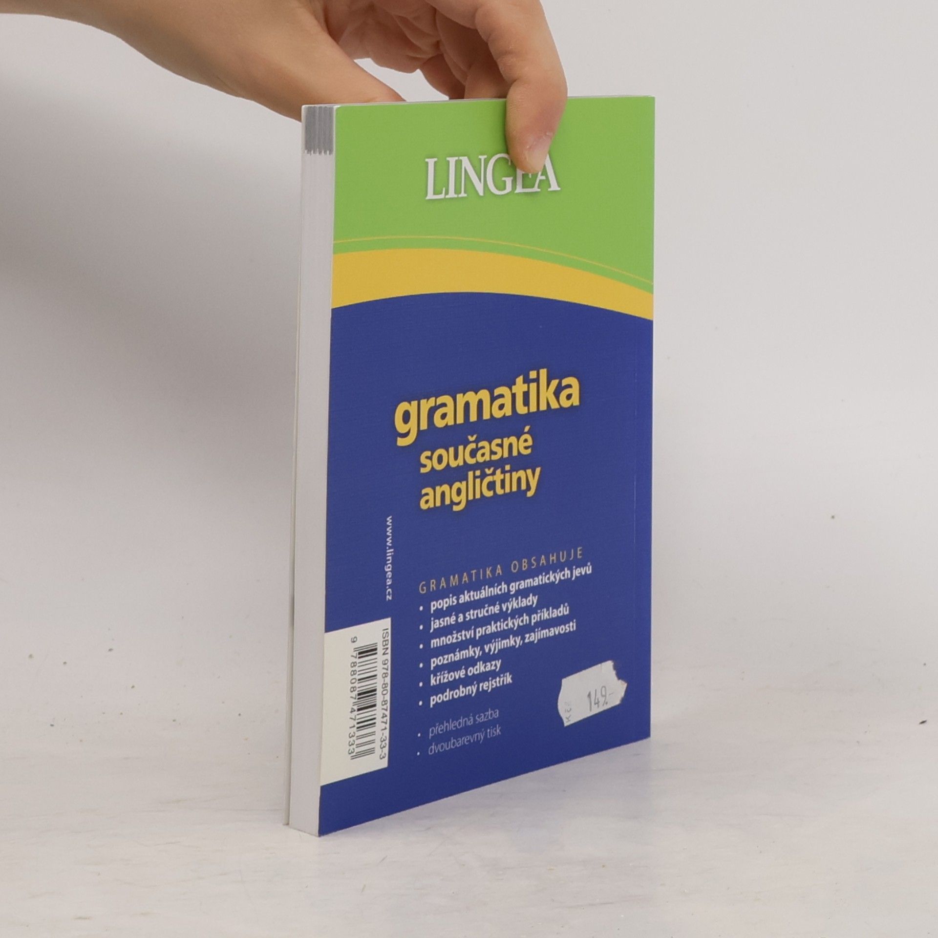 Autorenkollektiv Gramatika současné angličtiny