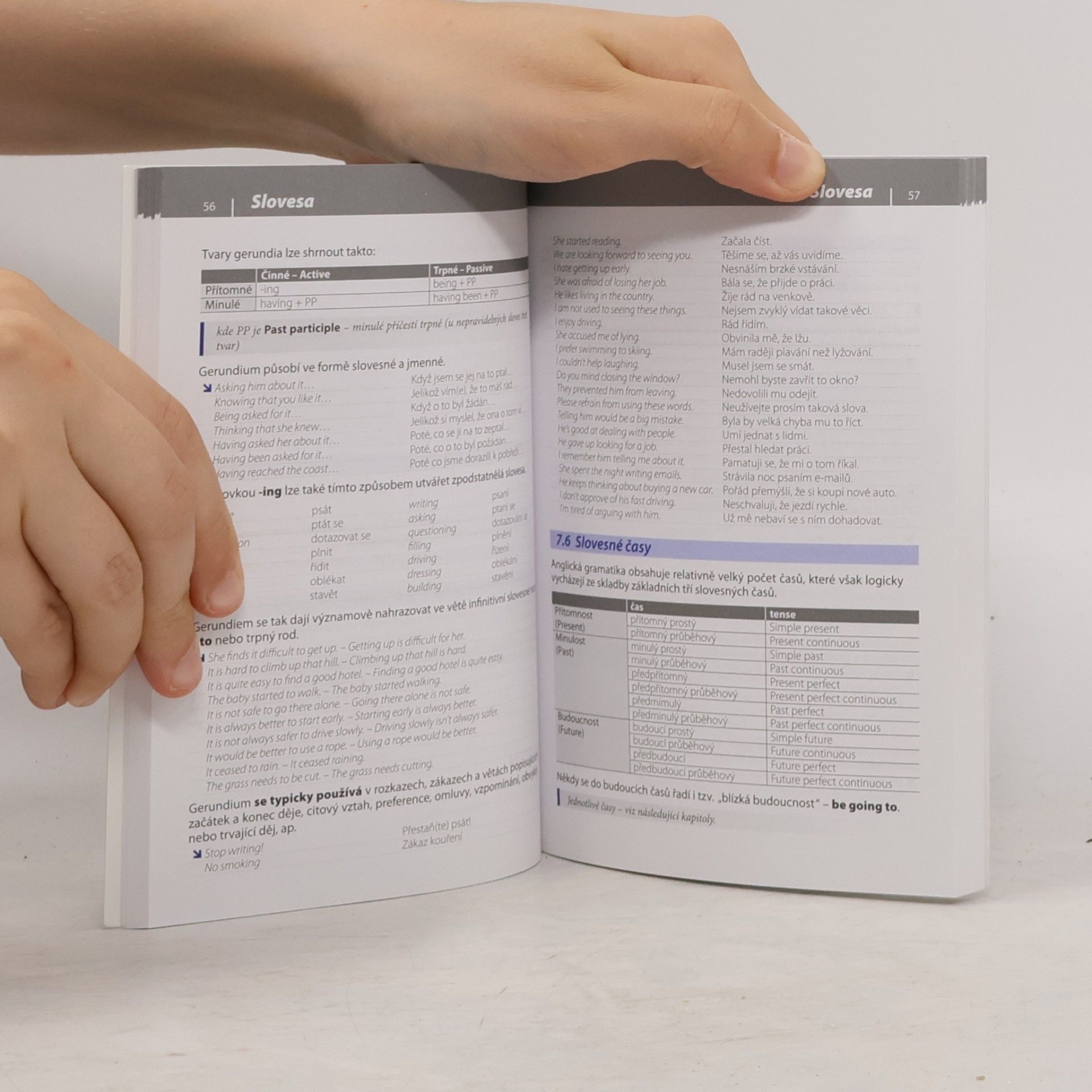 Autorenkollektiv Gramatika současné angličtiny